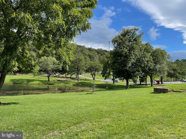 Lot 231 Timber Ridge Winchester, VA 22602 - Photo 8 of 12 a view of a park with large trees