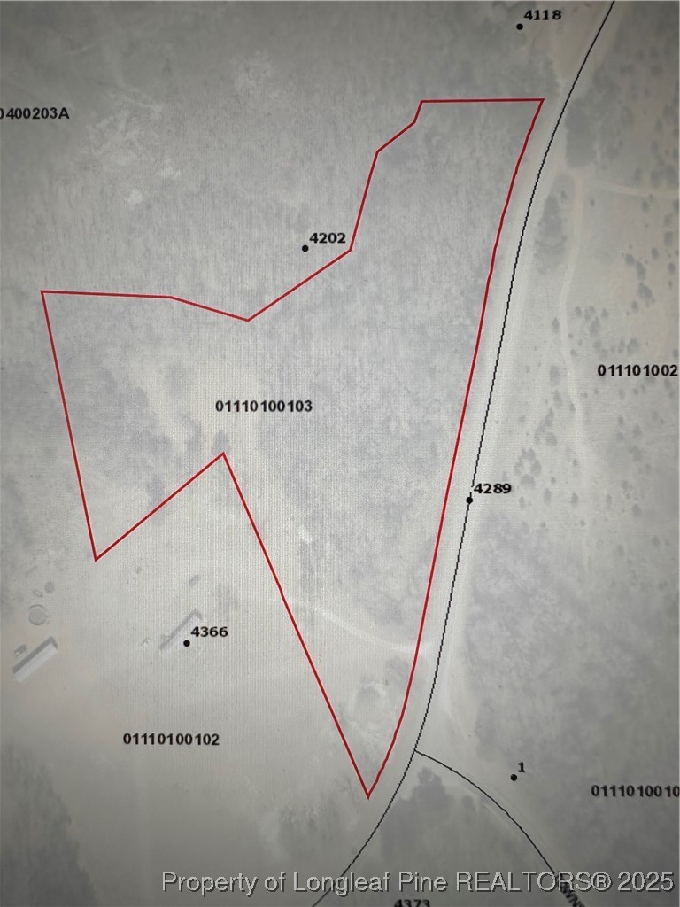 Lot 2 Midway Road Maxton, NC 28364 - Photo 4 of 5 Not In Flood Zone