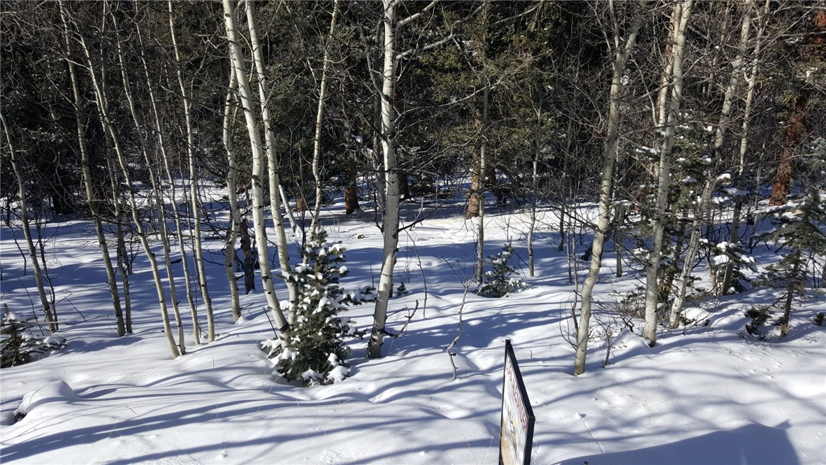 422 Bowstring Road Como, CO 80456 - Photo 1 of 19 Gallery Image 1