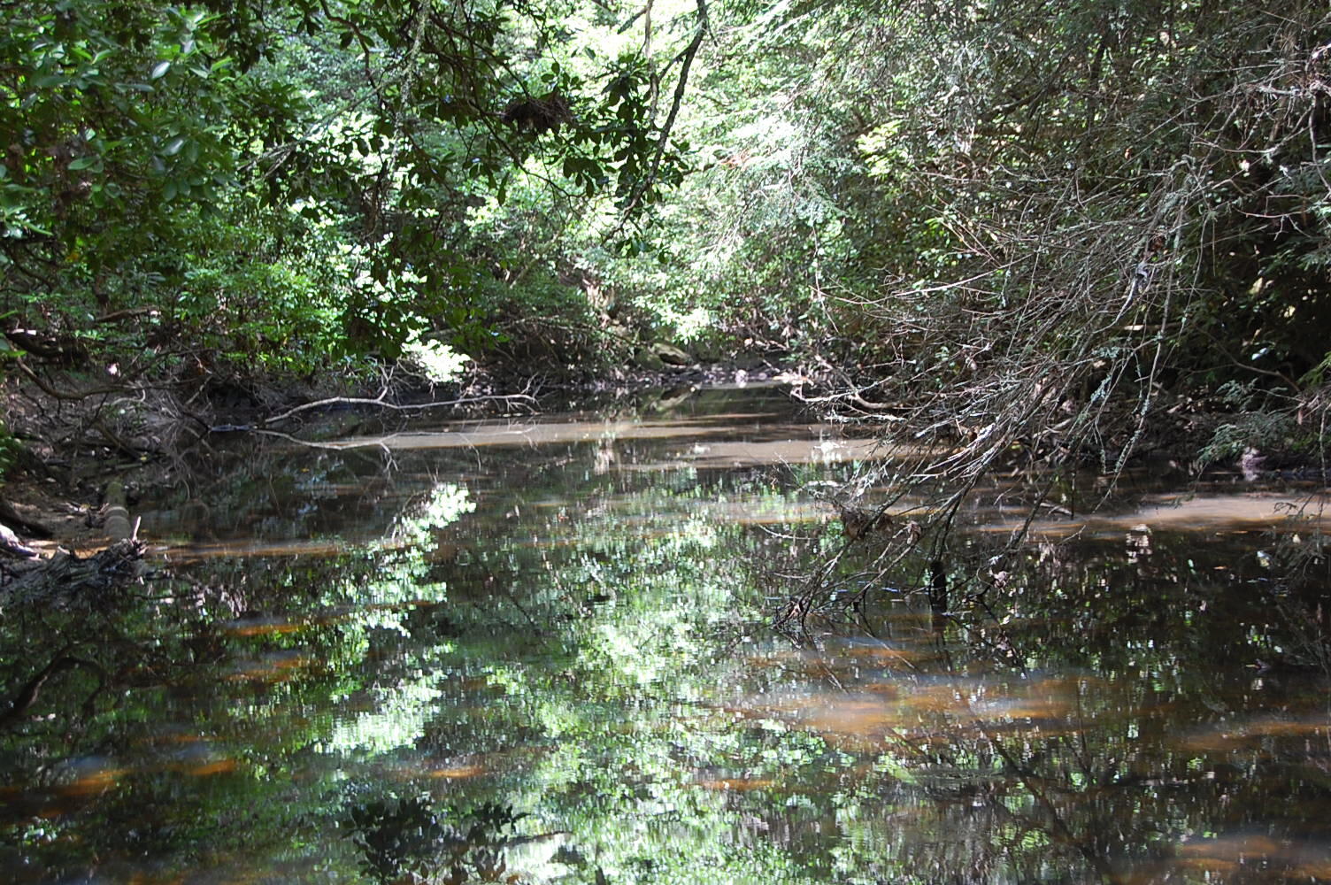 DSC_0094