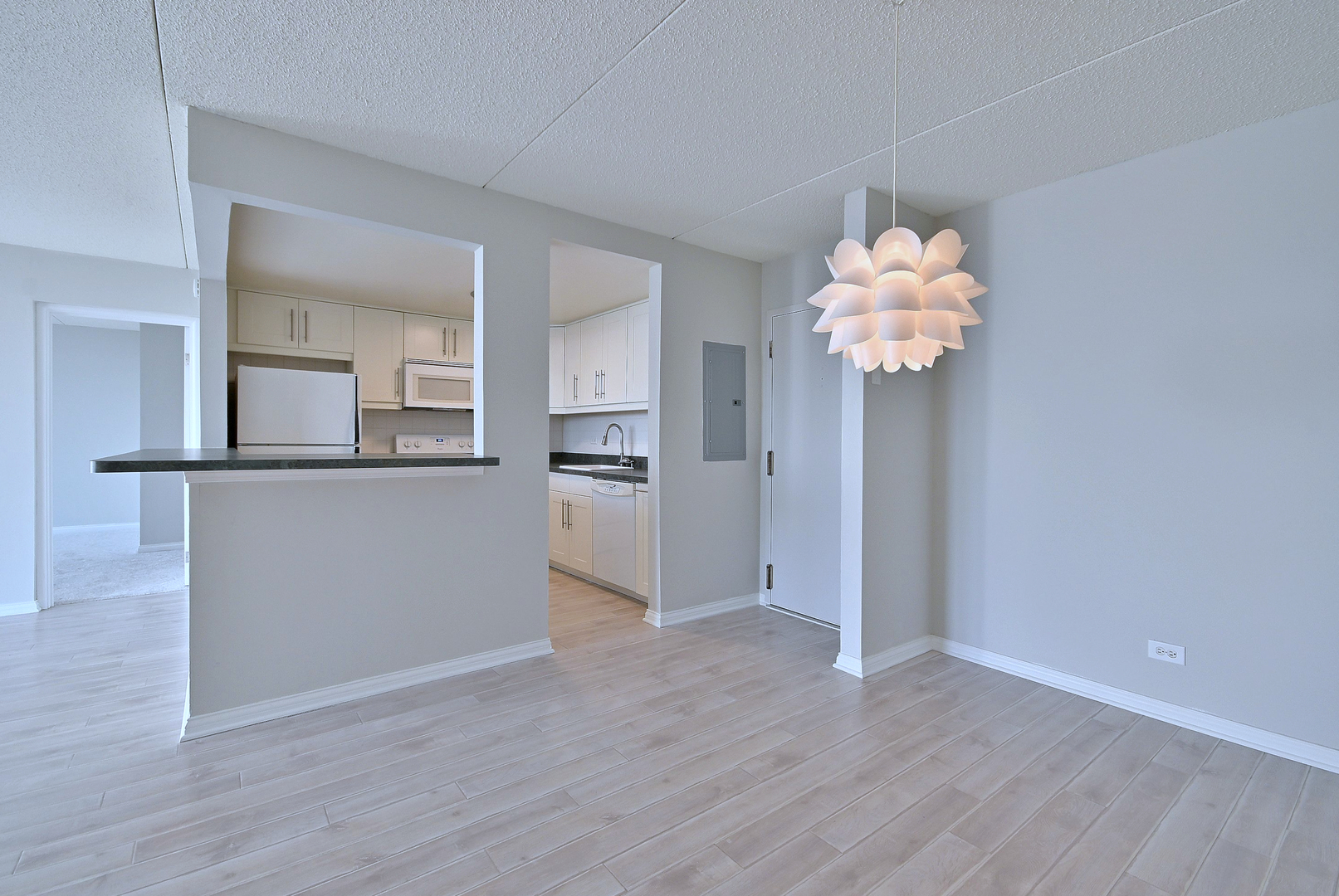 2015 South Finley Road, Unit 903 Lombard, IL 60148 - Photo 9 of 25 Gallery Image 9
