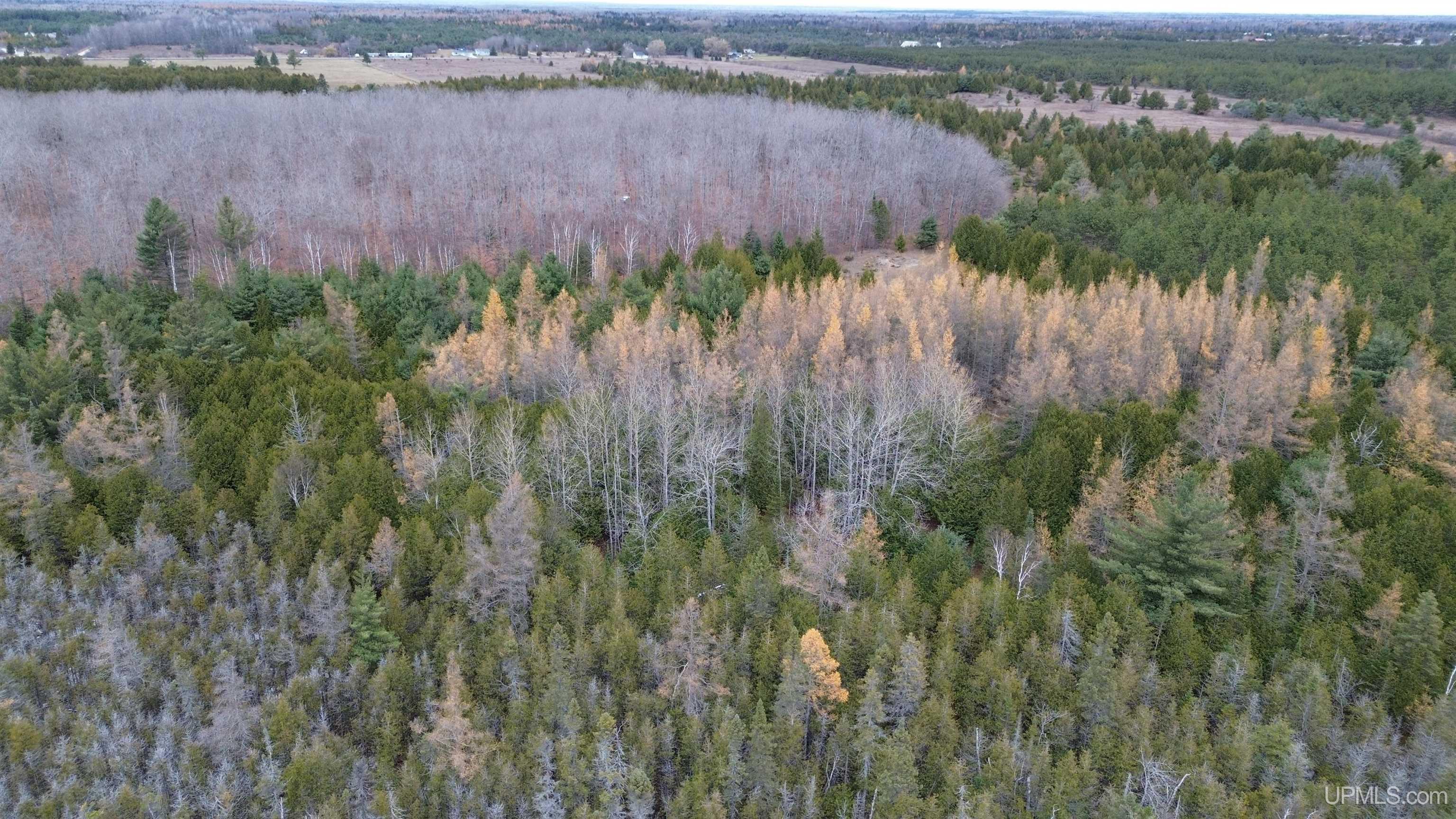 Tbd Tbd Appleford Road Moran, MI 49760 - Photo 12 of 24