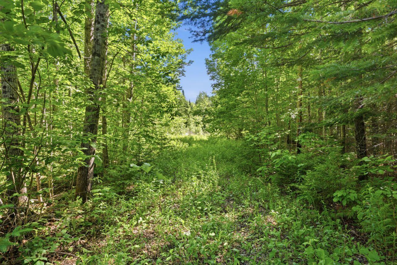 16 Moose Lane Orient, ME 04471 - Photo 34 of 48