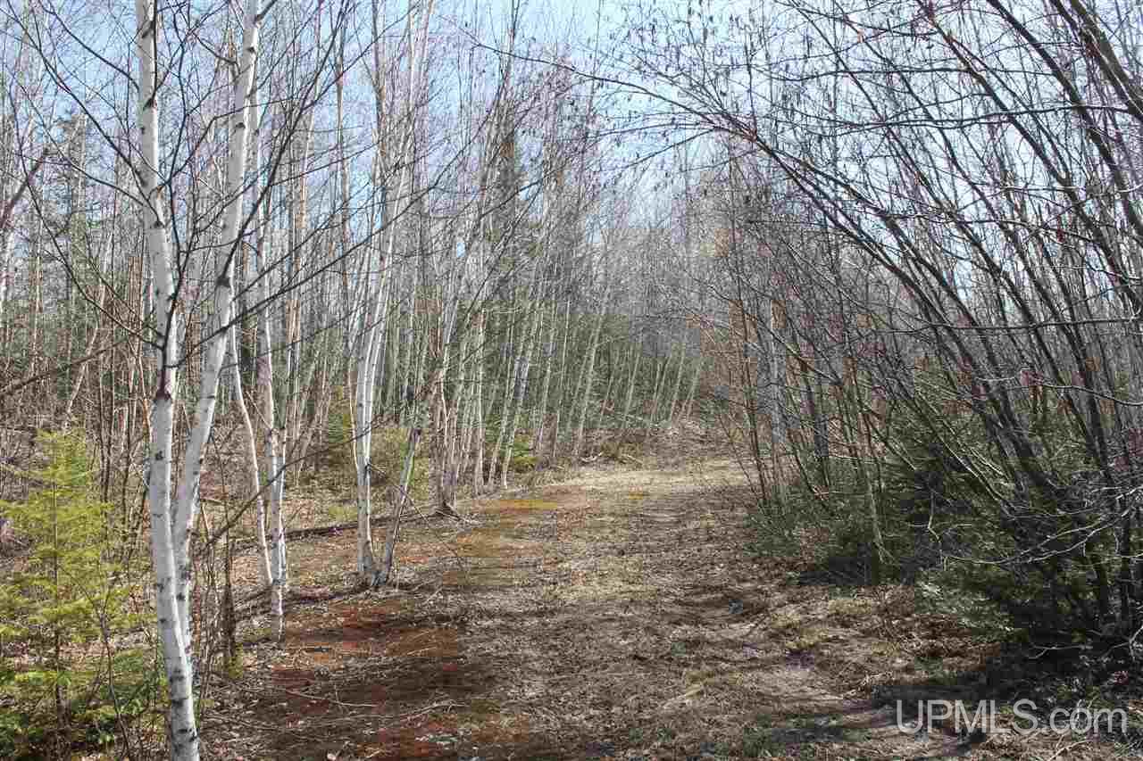 Tbd Reeds Point Road, Unit LAT 46 89919 LON 88 2455 Lanse, MI 49946 - Photo 17 of 19