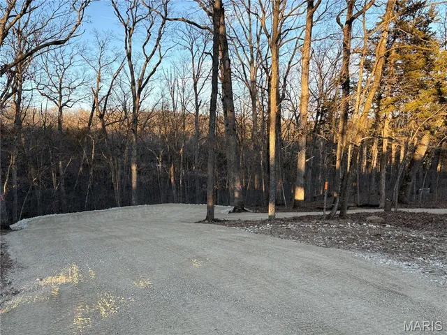 $23,900 | Lot 343 Lake Shore Drive West, New Florence, MO 63363