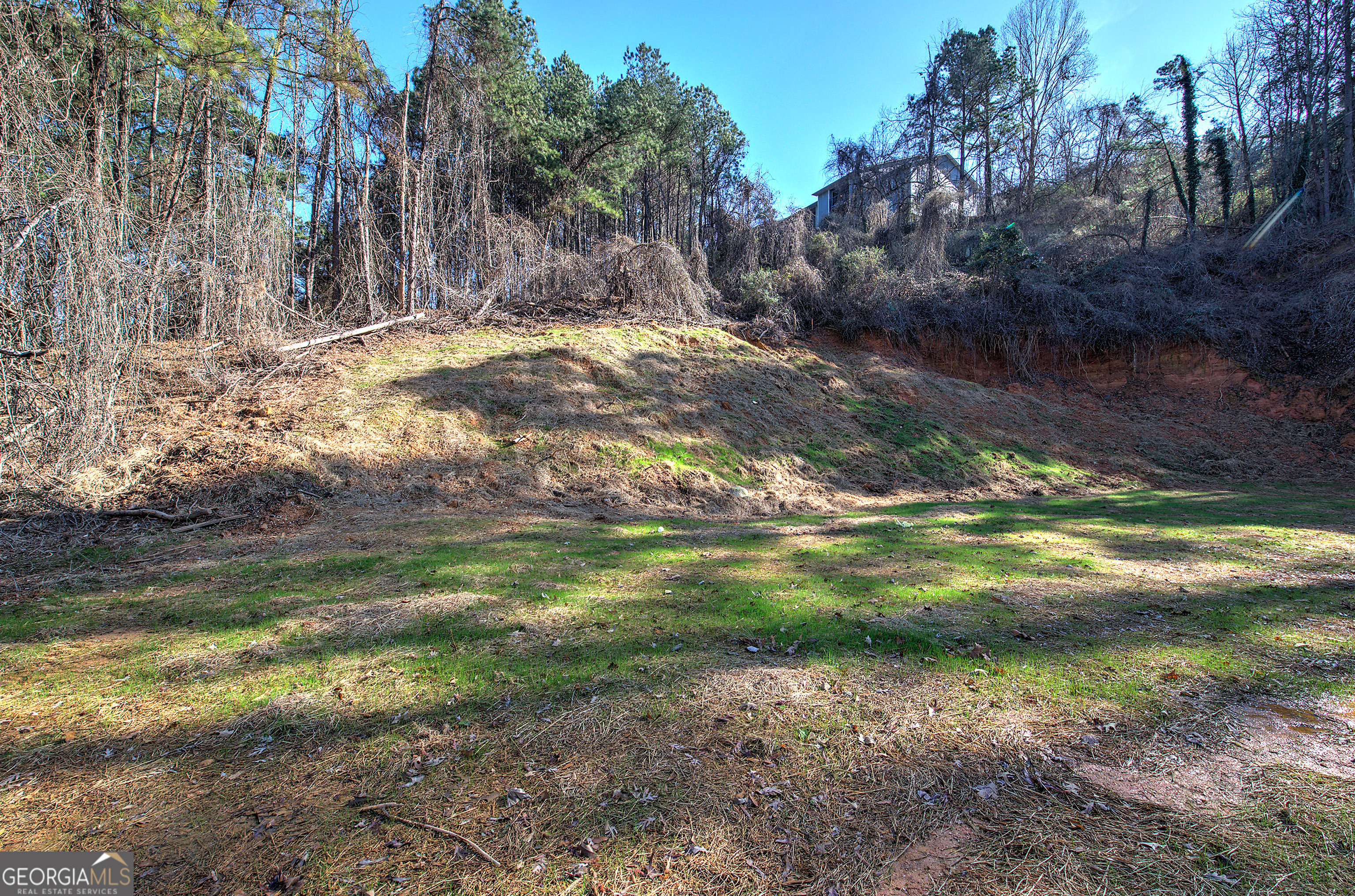 115 East Boundary Rome, GA 30161 - Photo 33 of 34 a view of a yard with plants and trees