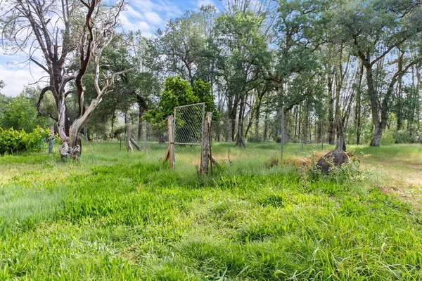 a picture of a park