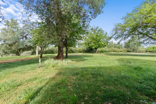 a big yard with lots of green space and trees
