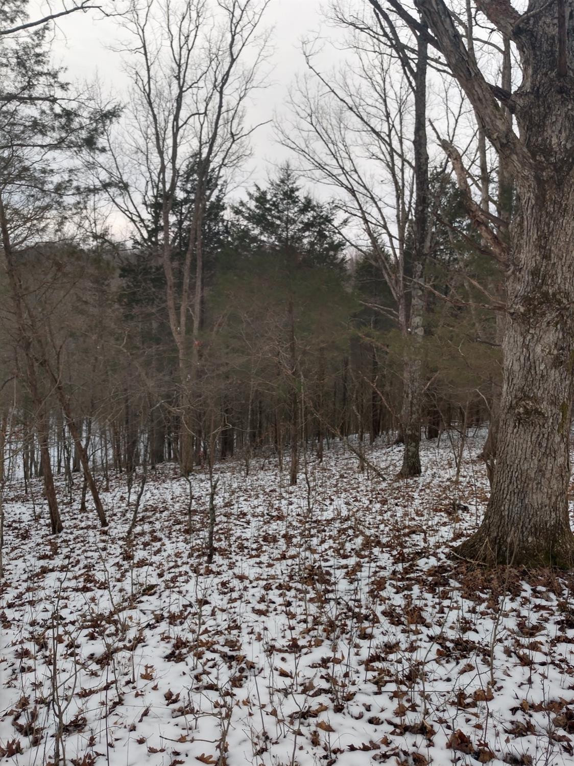 6085 Claxon Ridge Road Owenton, KY 40359 - Photo 13 of 51 Listing Photo