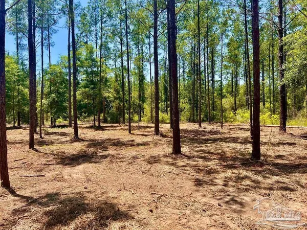 $165,000 | Lot 87 Pine Preserve Lane, Pace, FL 32571
