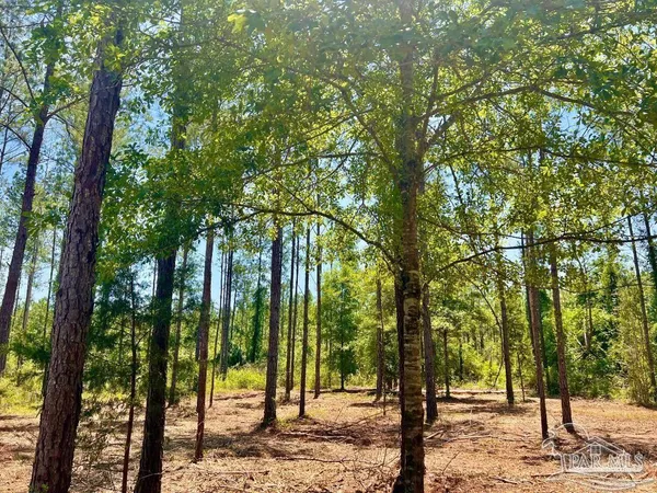 $165,000 | Lot 87 Pine Preserve Lane, Pace, FL 32571