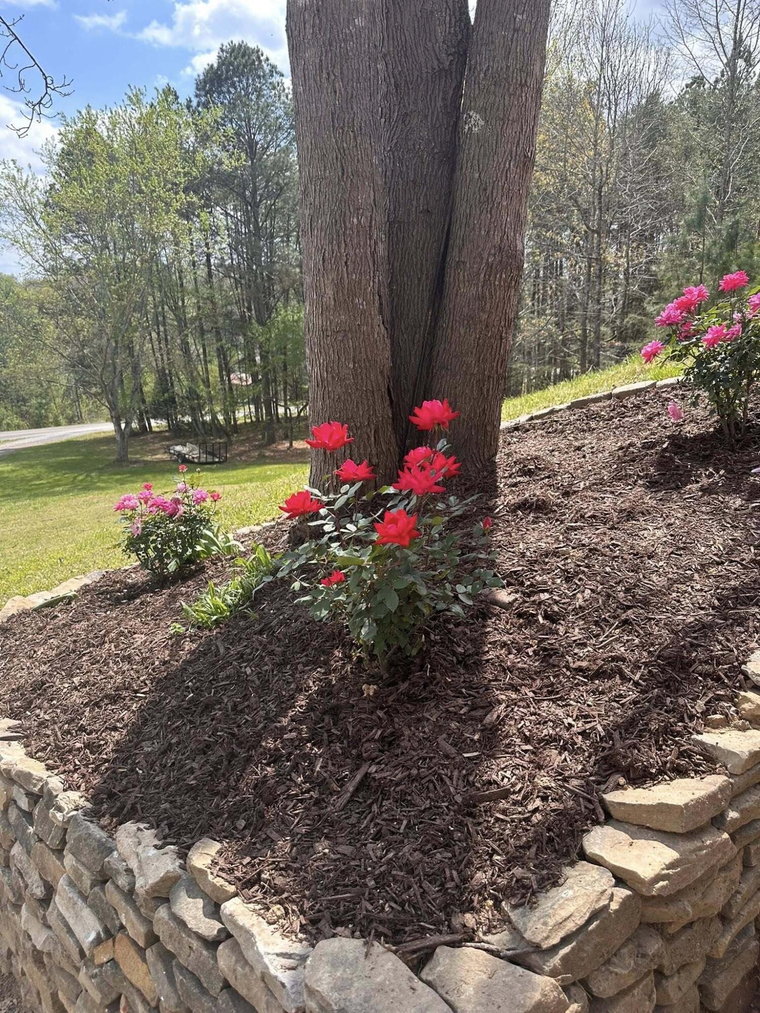 4121 Hidden Valley Road Cleveland, TN 37312 - Photo 2 of 30