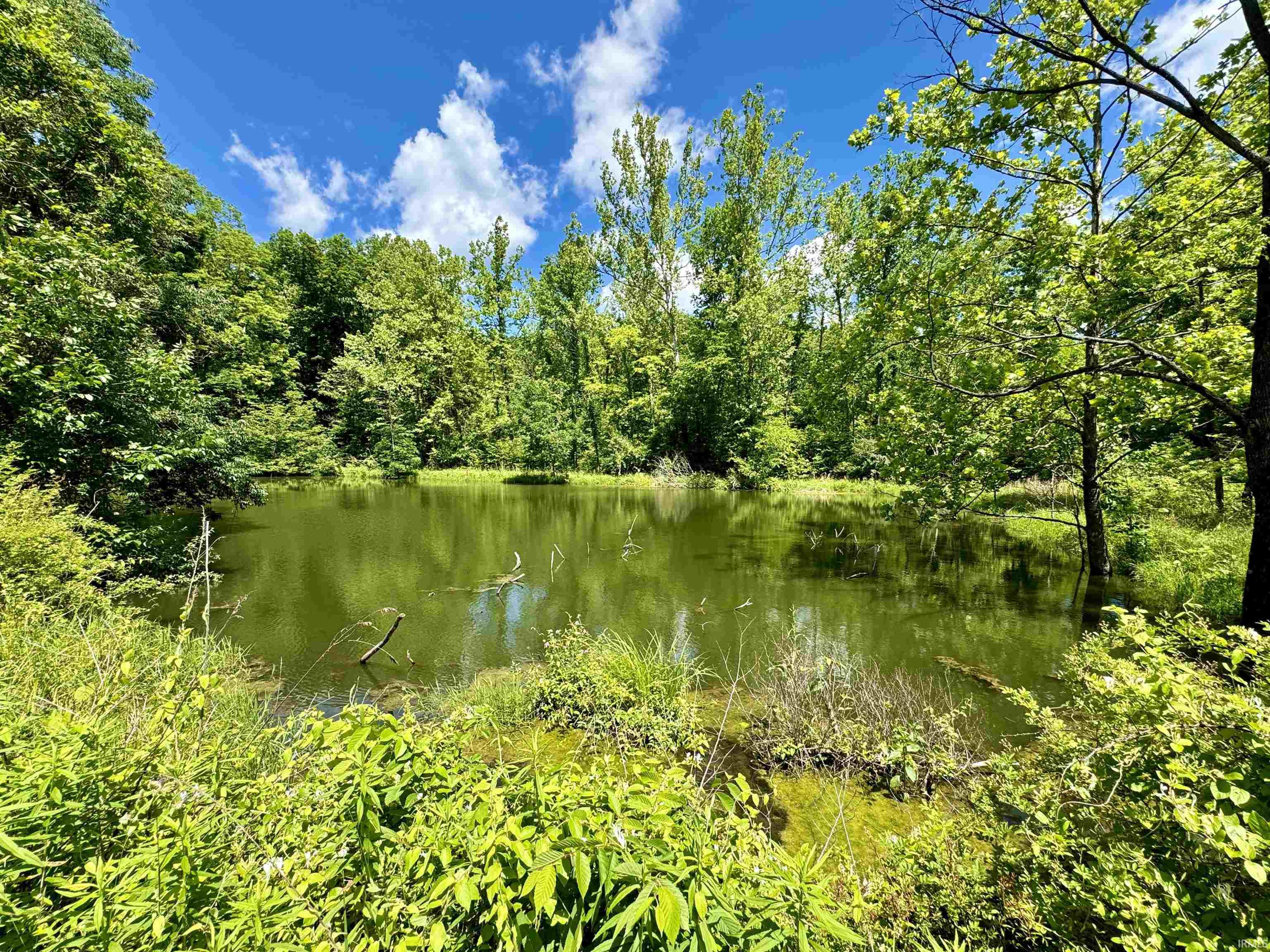 1485 Rattlesnake Road Spencer, IN 47460 - Photo 8 of 16