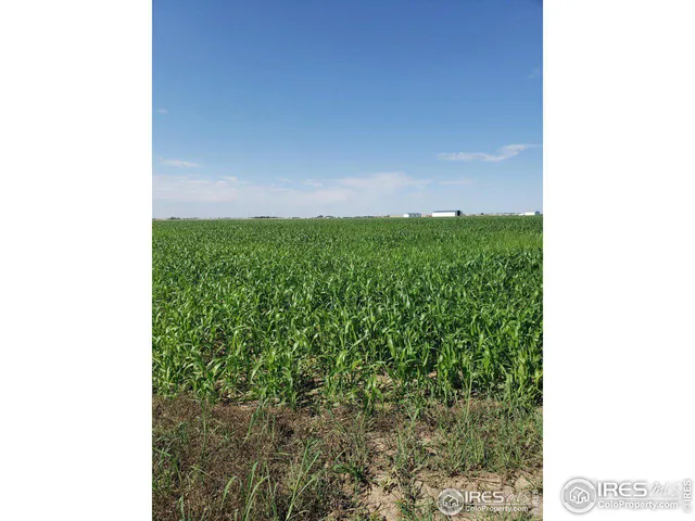 $94,000 | 0 County Road 6, Wiggins, CO 80654