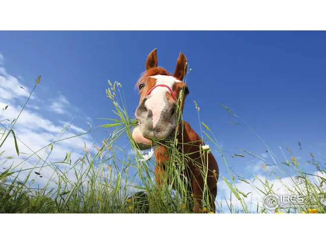 a black and white photo of a room