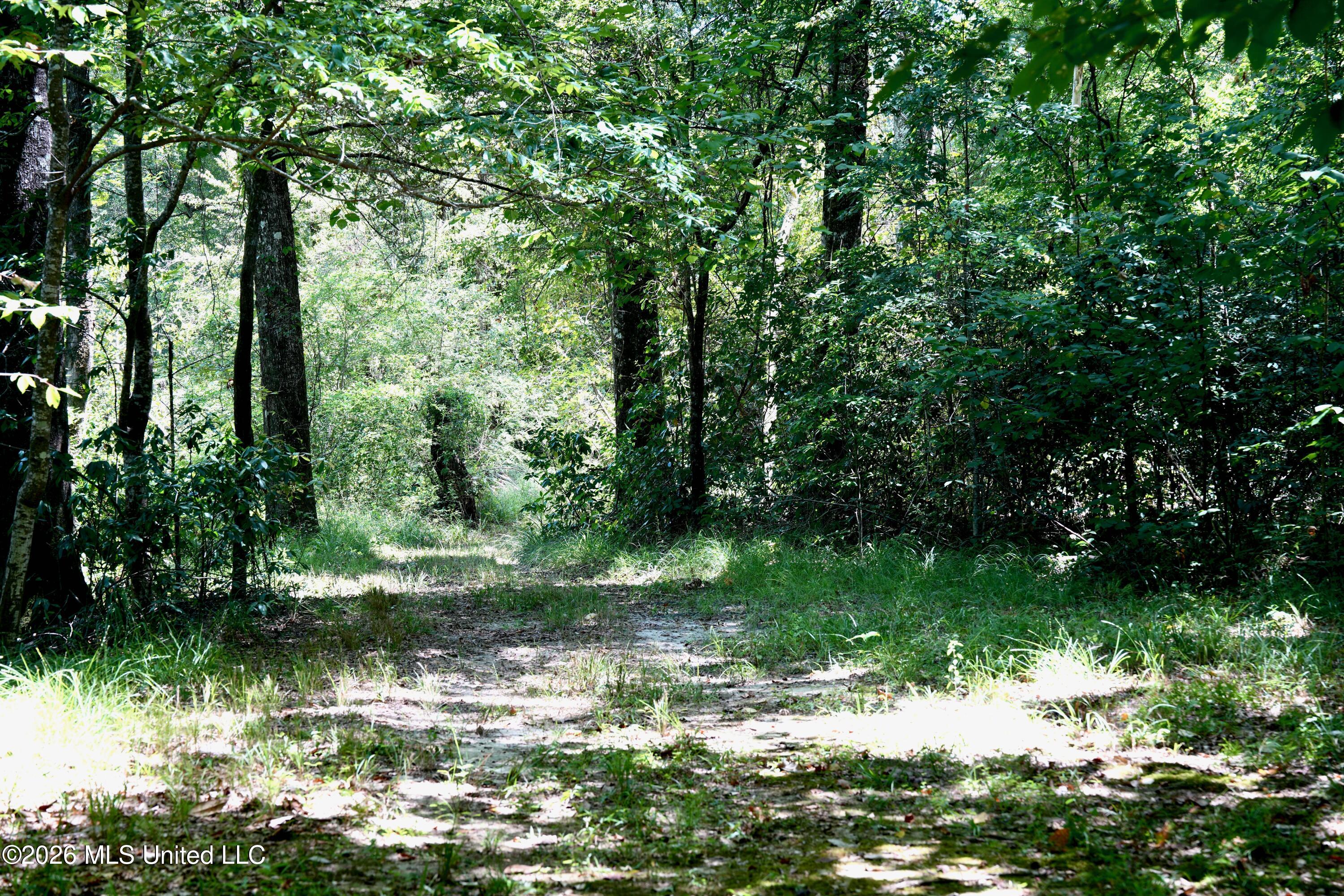 Xxxx Hamp Lea Road Magnolia, MS 39652 - Photo 37 of 48 DSC04017