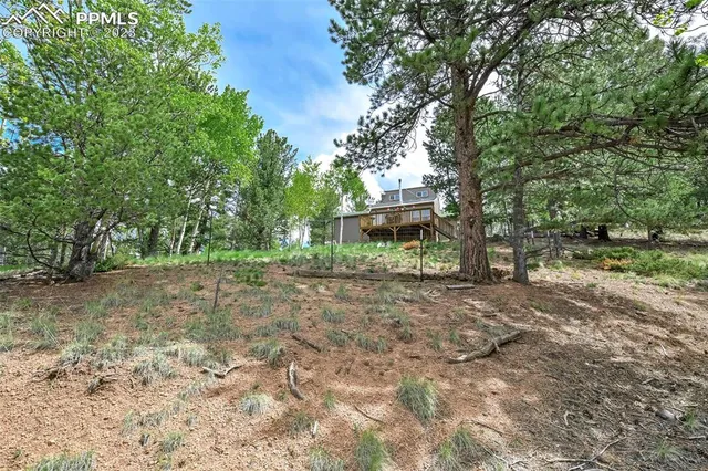 a view of house with trees in the background