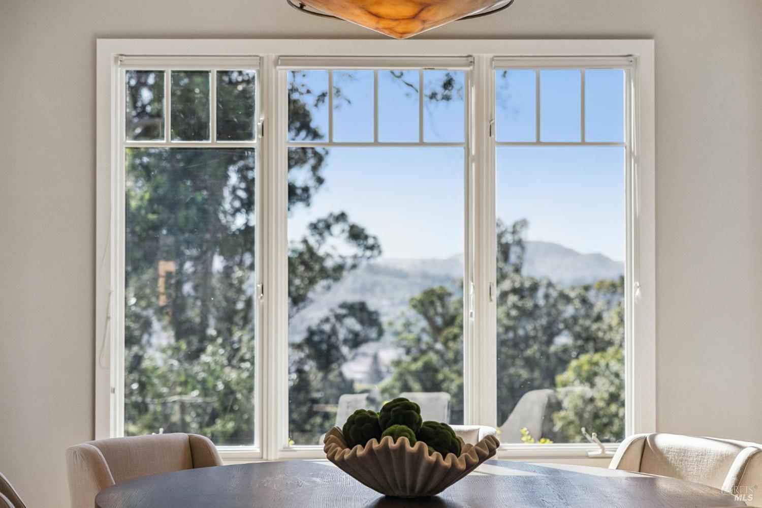 99 Deer Park Avenue San Rafael, CA 94901 - Photo 24 of 80