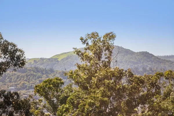 $3,250,000 | 99 Deer Park Avenue, San Rafael, CA 94901