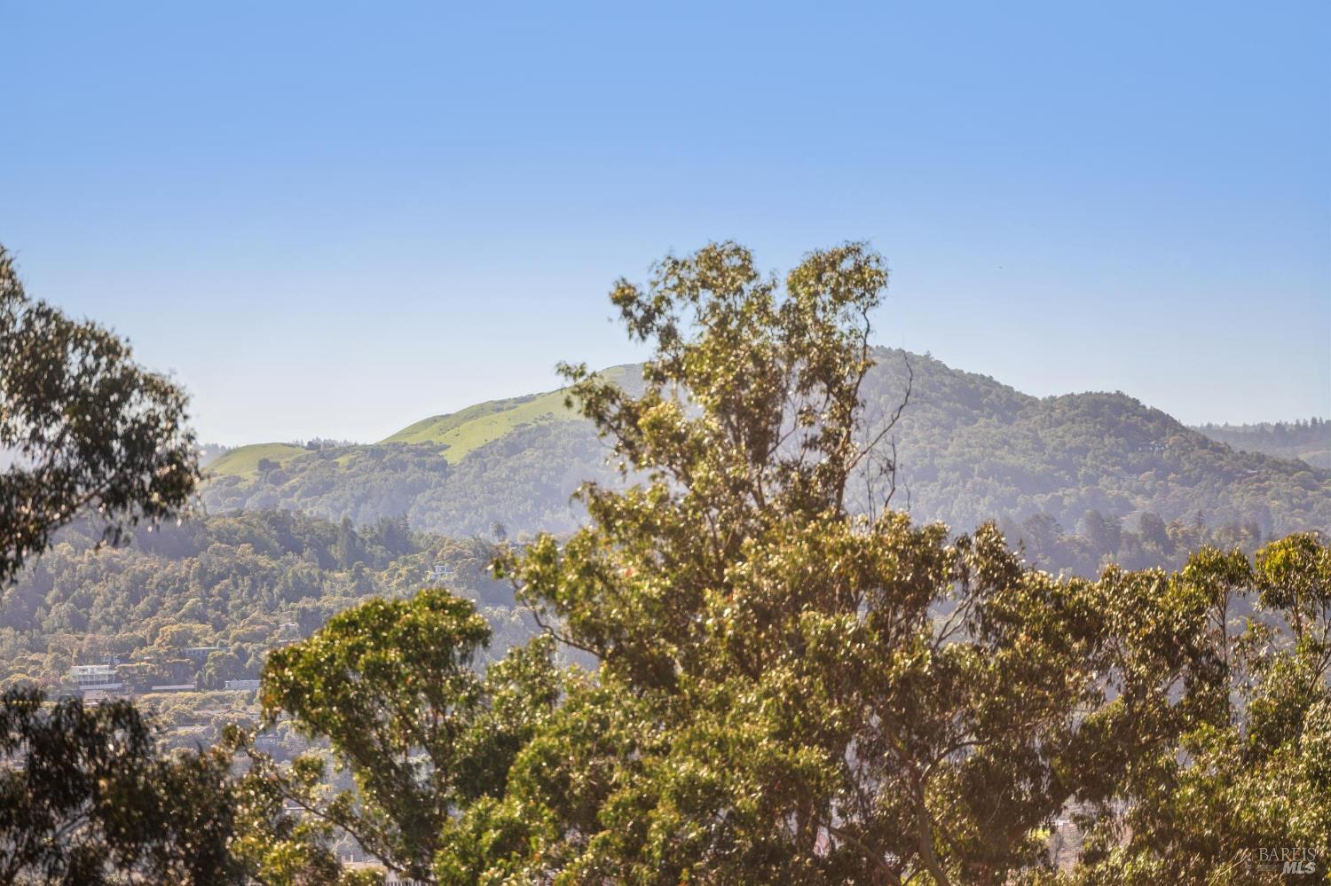 99 Deer Park Avenue San Rafael, CA 94901 - Photo 26 of 80