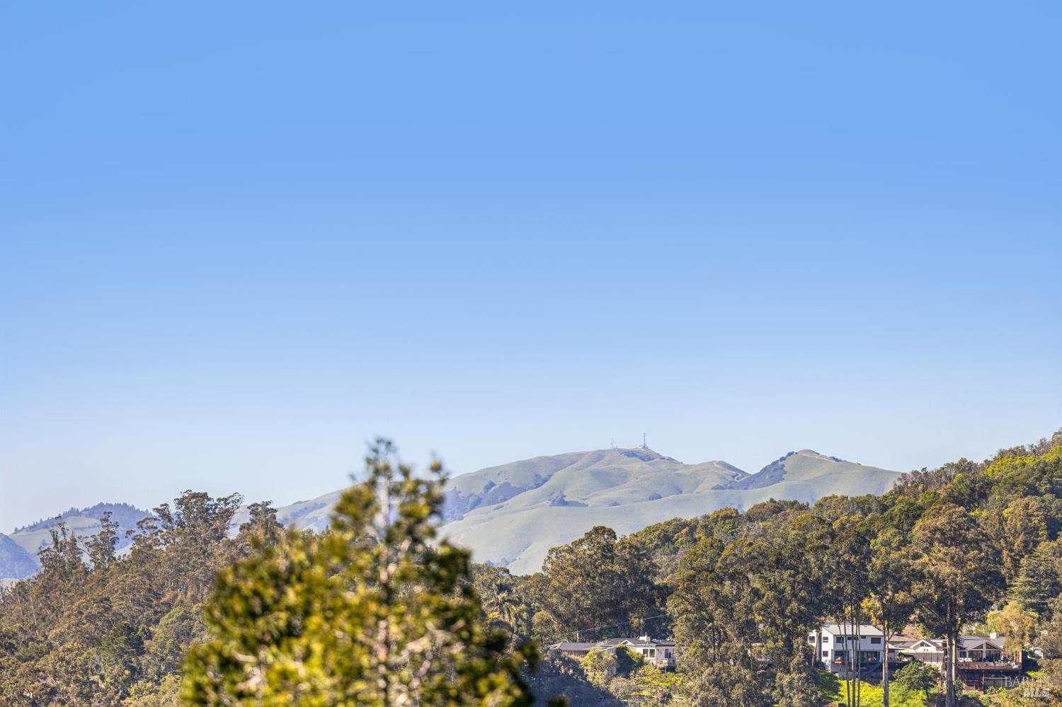 99 Deer Park Avenue San Rafael, CA 94901 - Photo 29 of 80