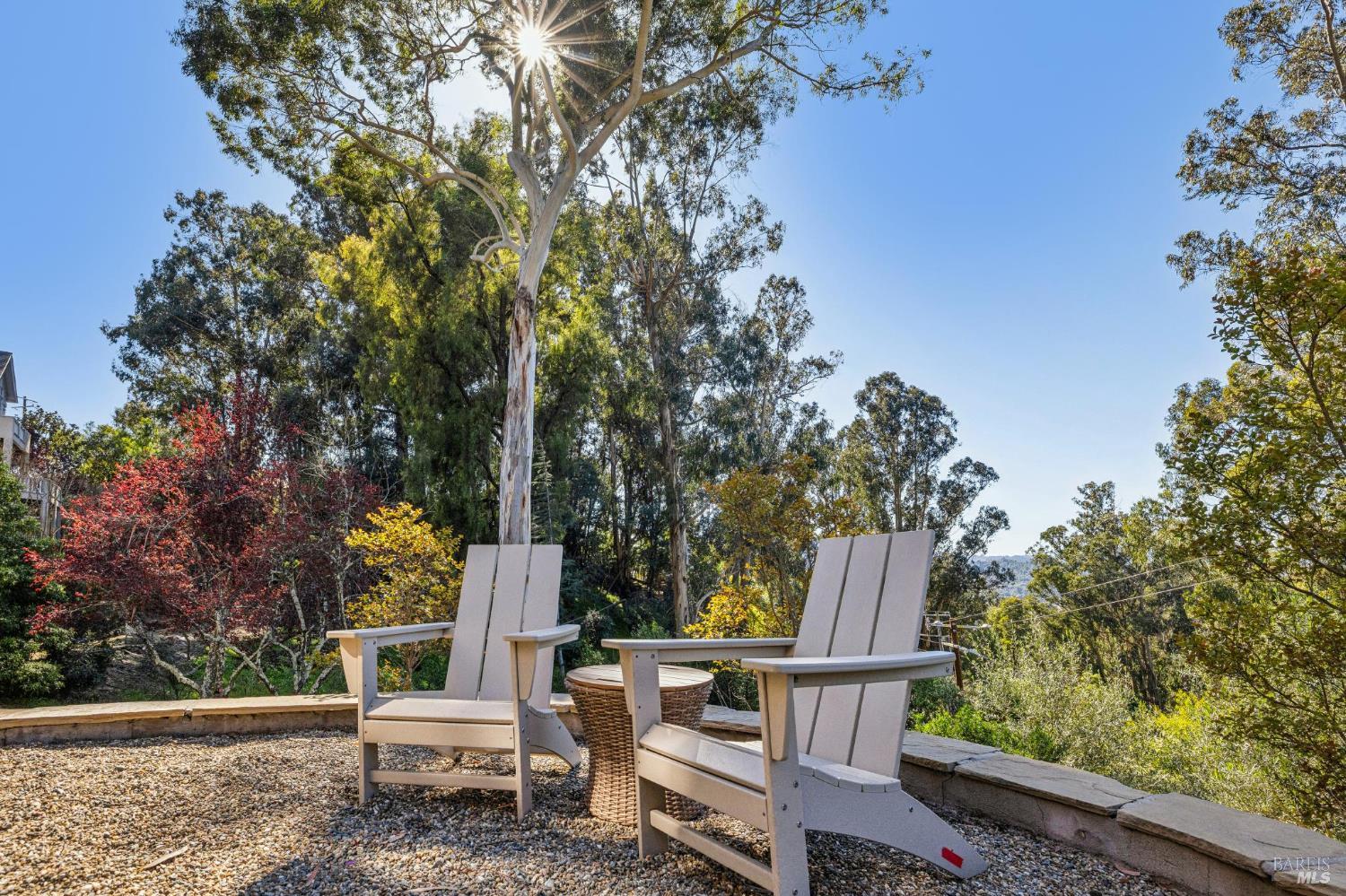 99 Deer Park Avenue San Rafael, CA 94901 - Photo 79 of 80