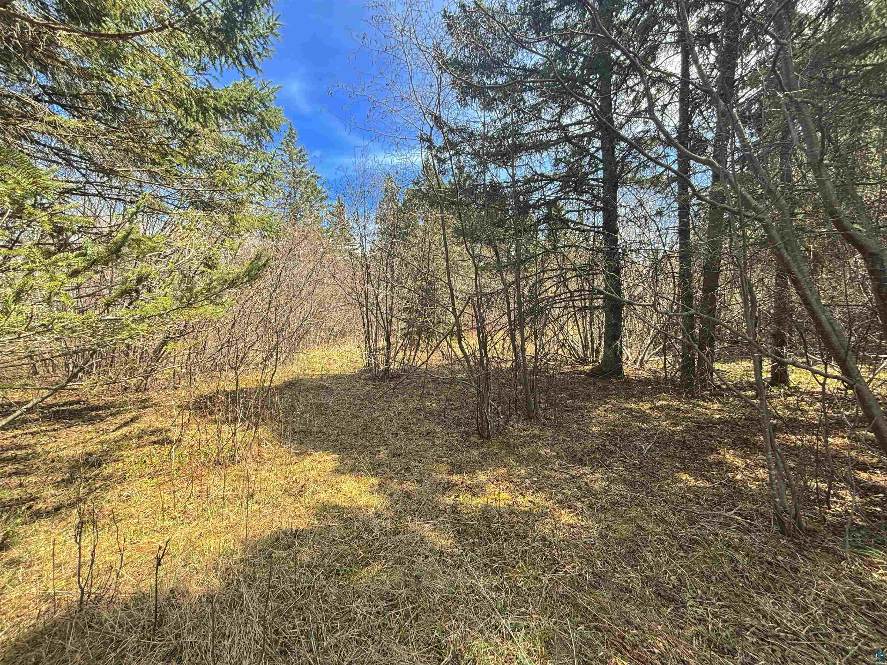 864-xx Lenawee Road Herbster, WI 54844 - Photo 8 of 26