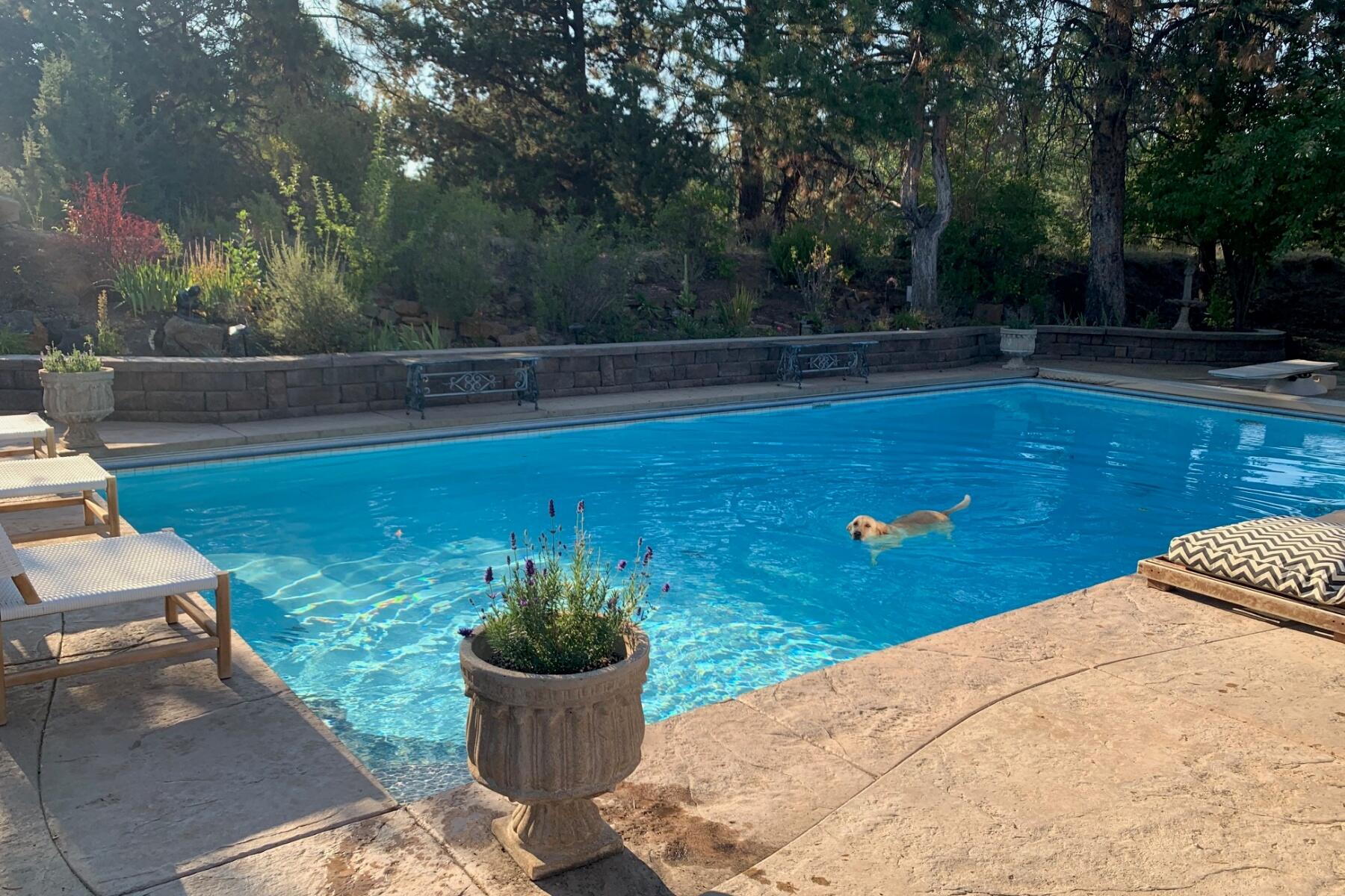 60602 Woodside Road Bend, OR 97702 - Photo 35 of 46 batch_35 Pool IMG_5288