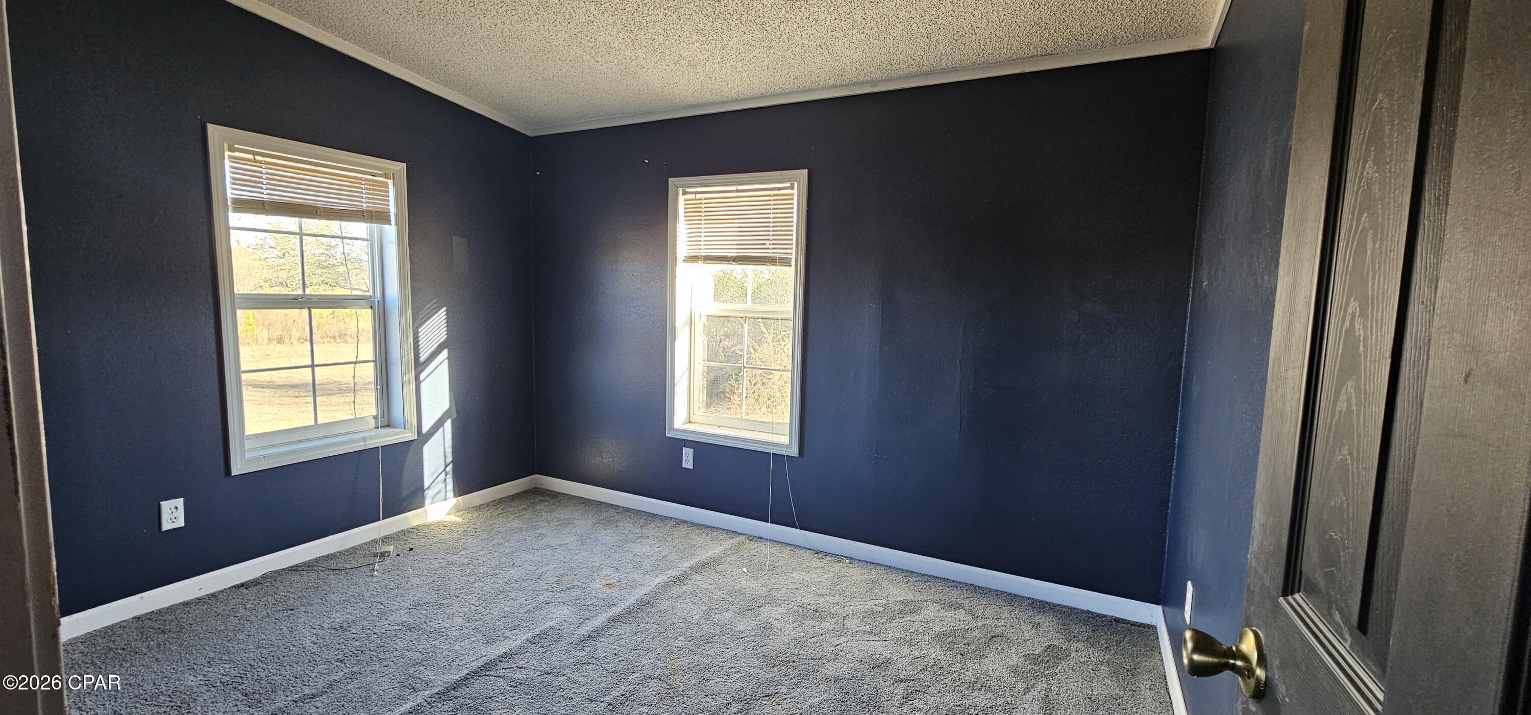 23787 County Road 69A Altha, FL 32421 - Photo 15 of 16