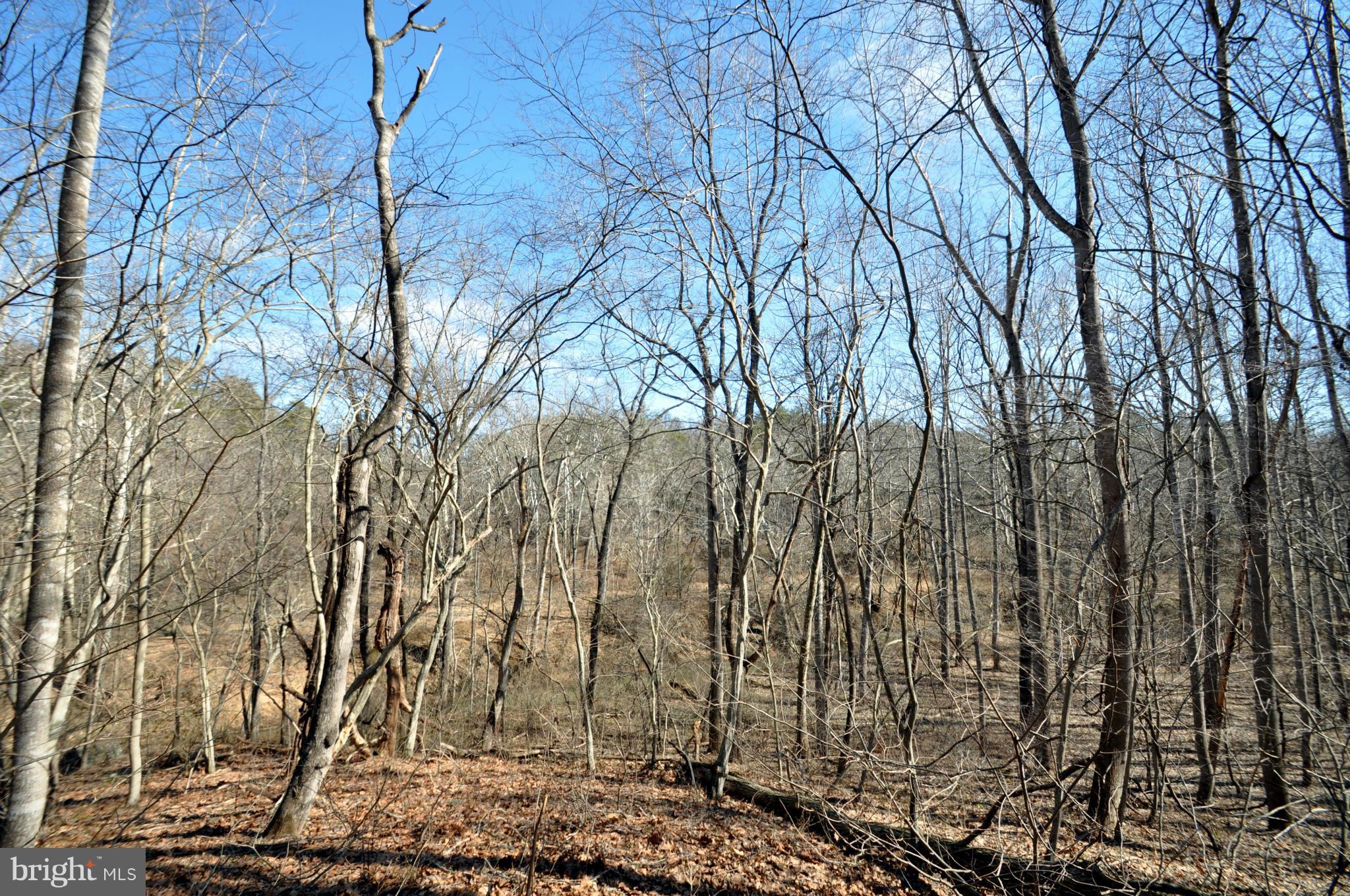 South Colonels Lane Castleton, VA 22716 - Photo 3 of 10 Home Site