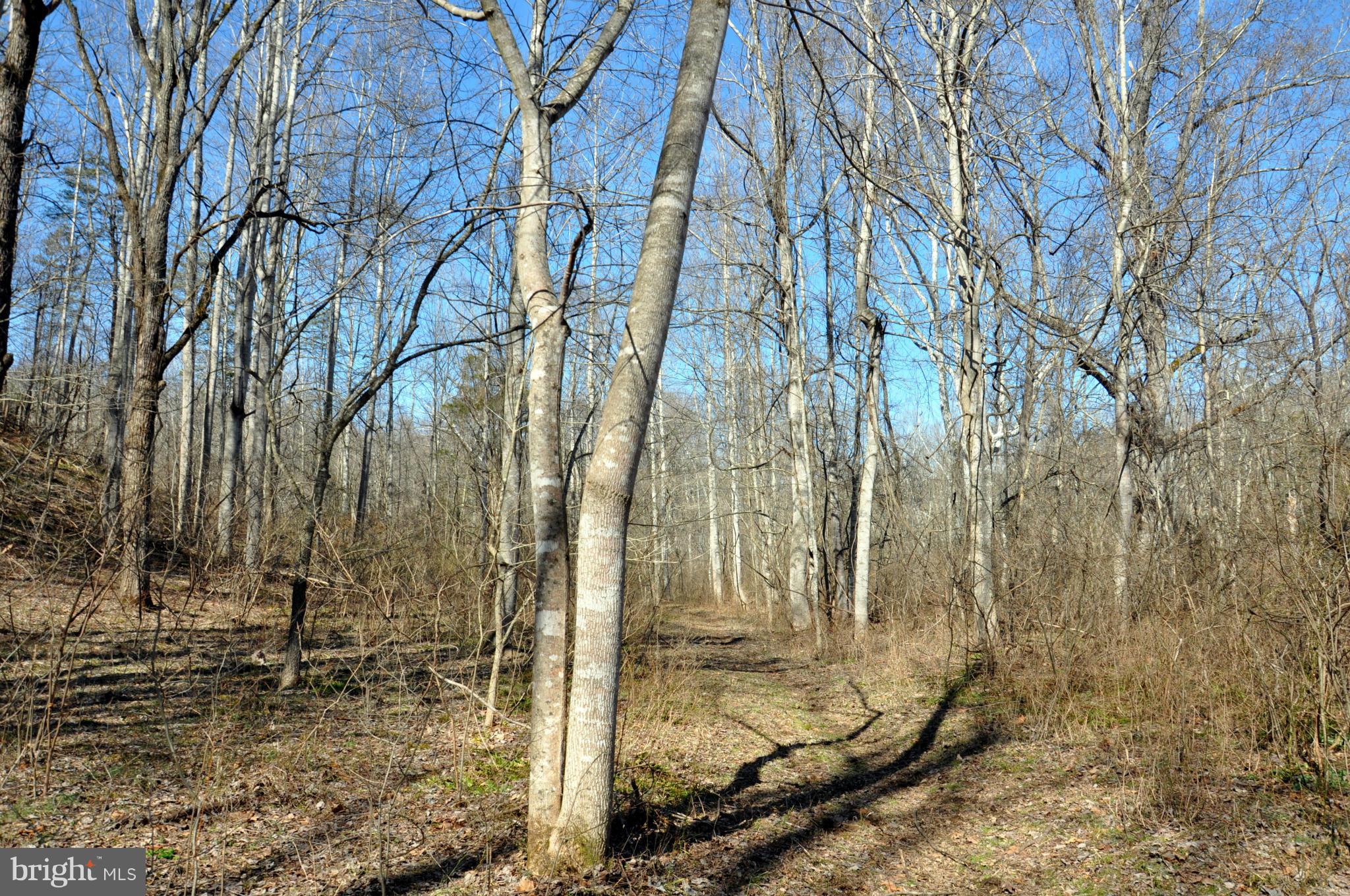 South Colonels Lane Castleton, VA 22716 - Photo 4 of 10 Walking Trail