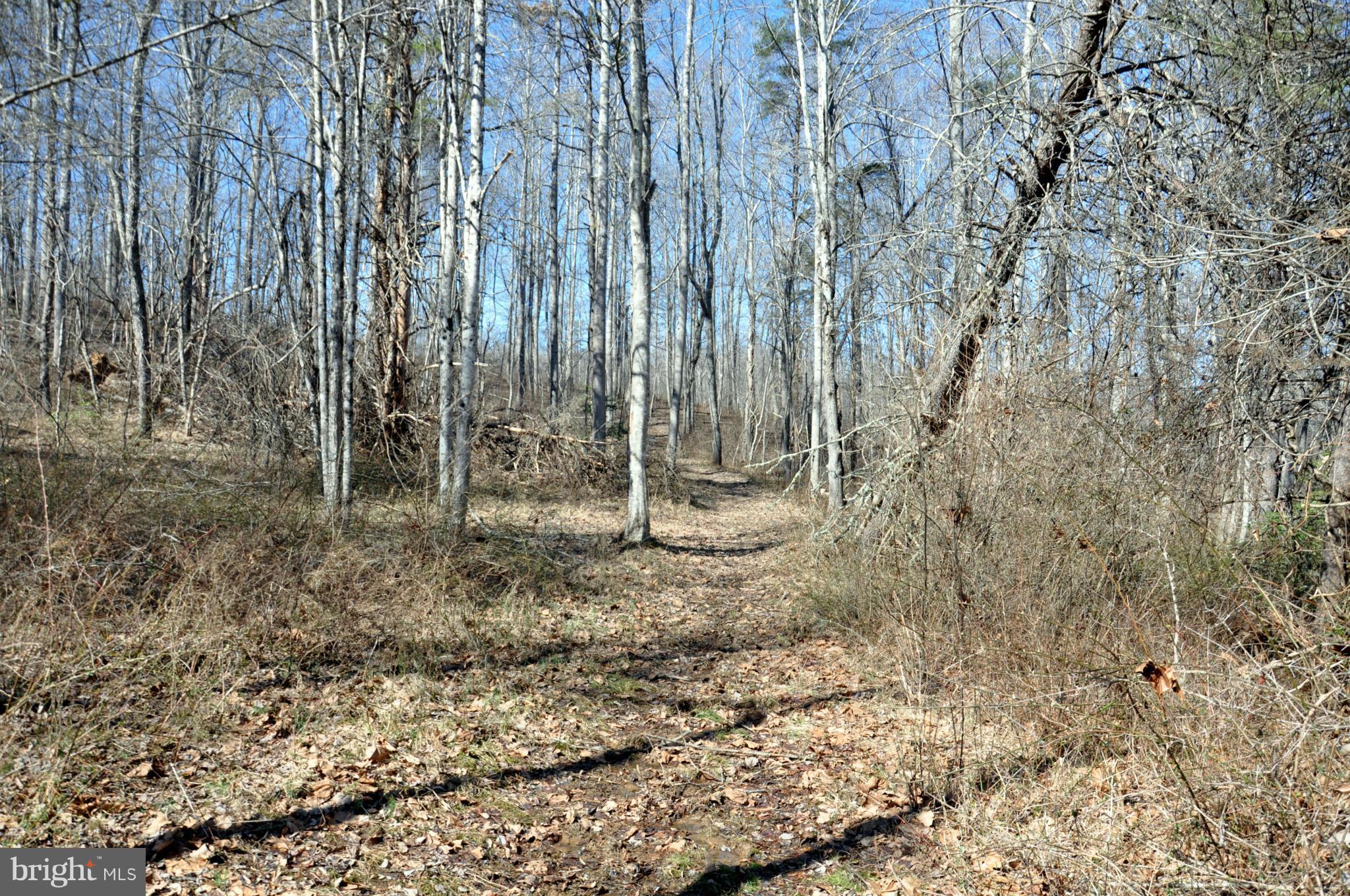 South Colonels Lane Castleton, VA 22716 - Photo 5 of 10 Horse Trail