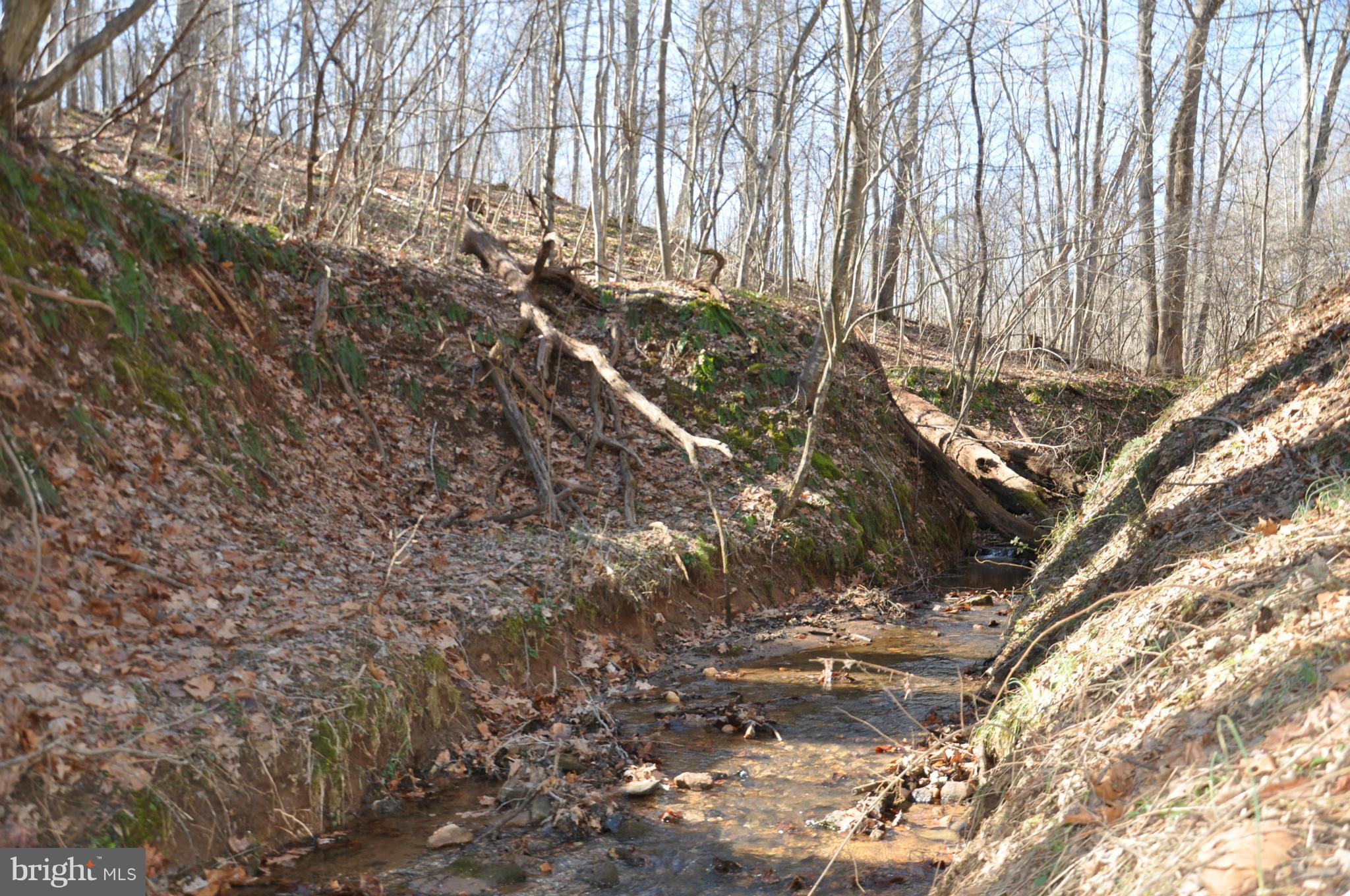 South Colonels Lane Castleton, VA 22716 - Photo 6 of 10 Stream 1