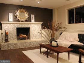 11200 Hunting Horn Lane Reston, VA 20191 - Photo 10 of 26 Basement