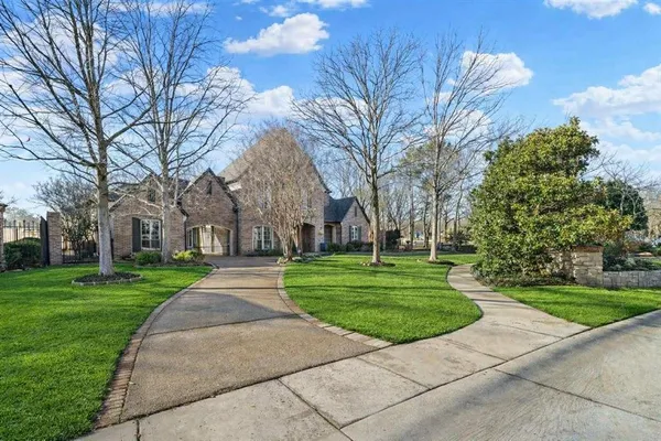 a view of a park with large trees
