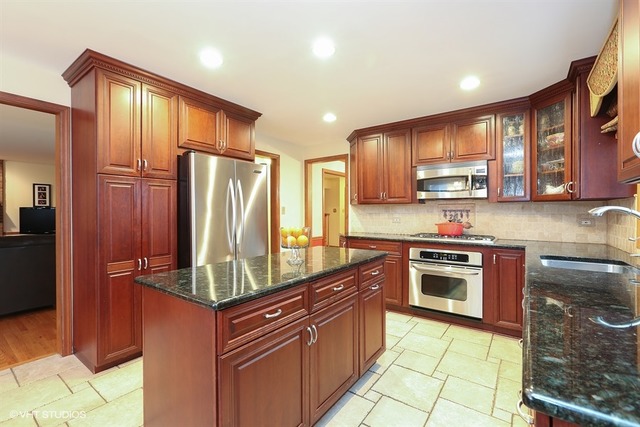 4120 Wolf Road Western Springs, IL 60558 - Photo 7 of 25