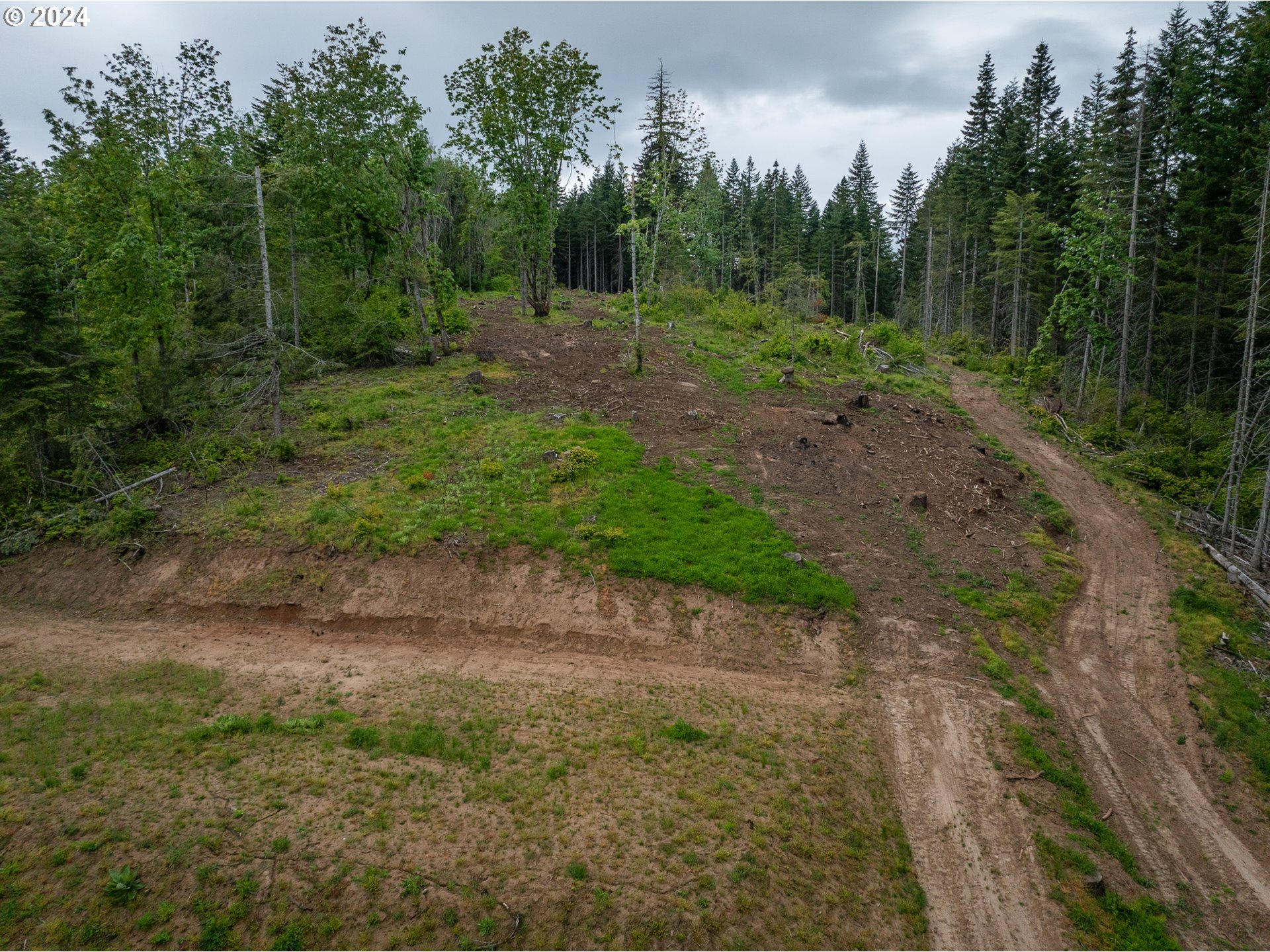9 Cloud Line Road White Salmon, WA 98672 - Photo 8 of 18 Gallery Image 8