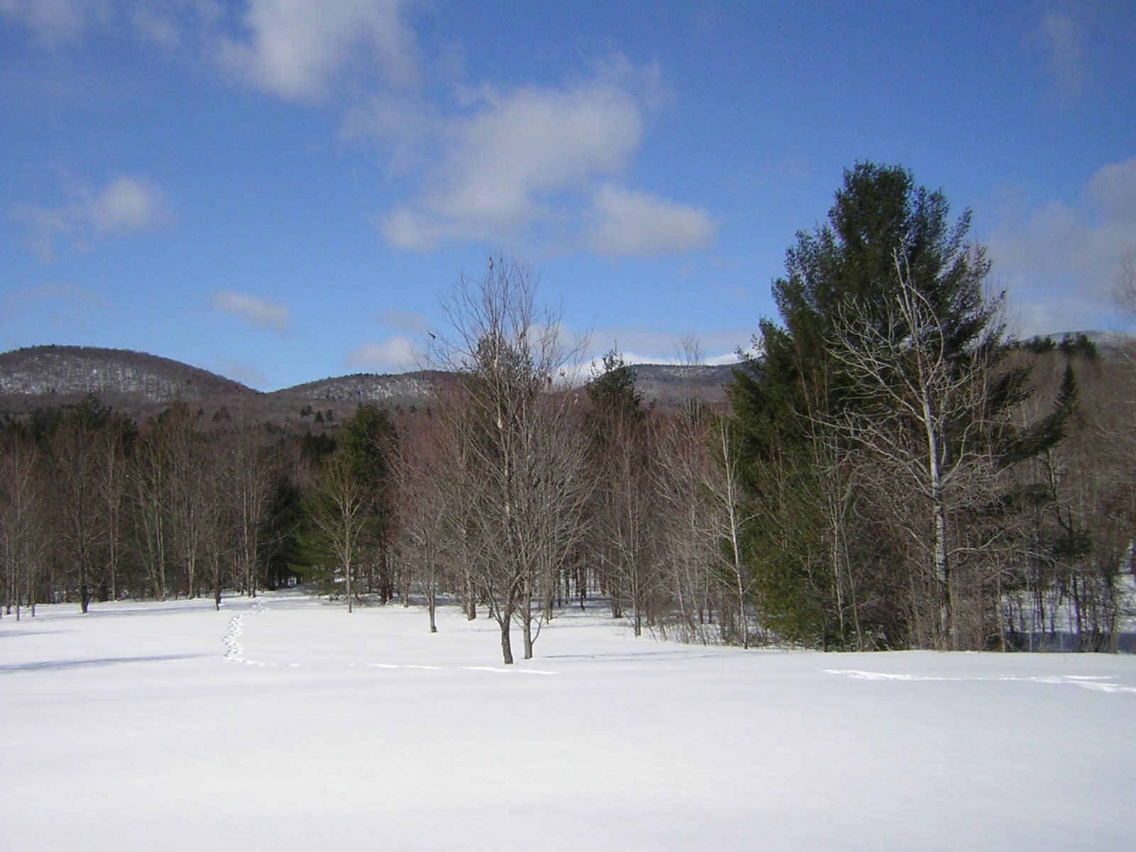 0 Sterling Valley Road Morristown, VT 05661 - Photo 1 of 40 Gallery Image 1