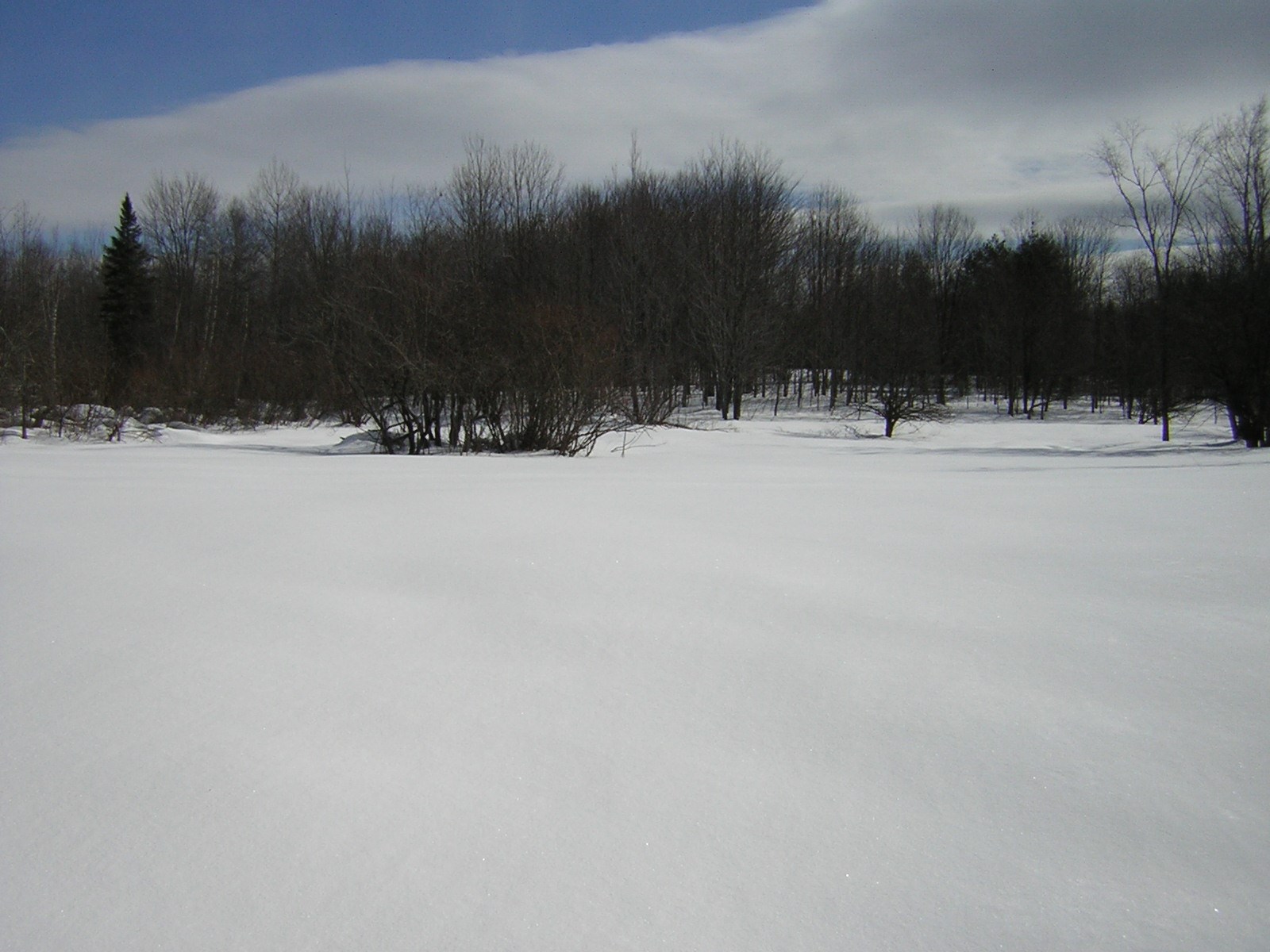0 Sterling Valley Road Morristown, VT 05661 - Photo 2 of 40 Gallery Image 2
