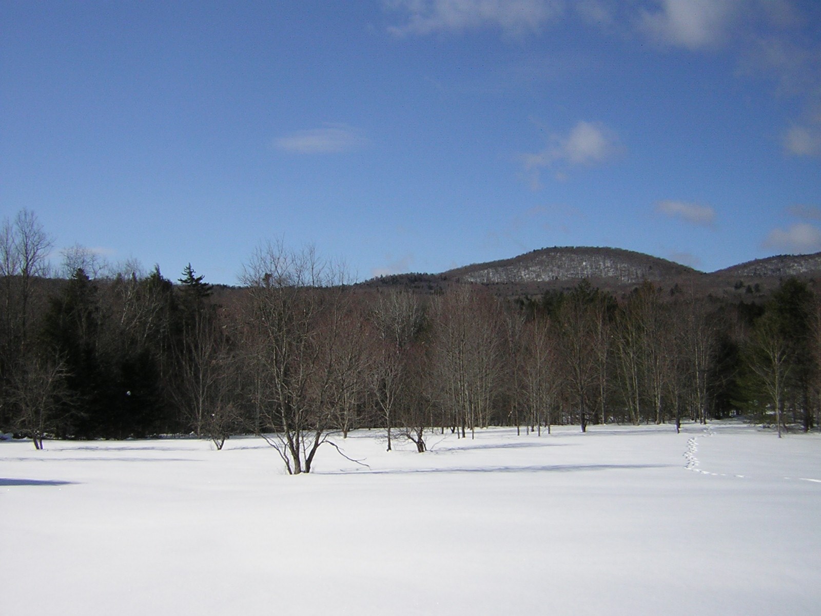 0 Sterling Valley Road Morristown, VT 05661 - Photo 13 of 40 Gallery Image 13