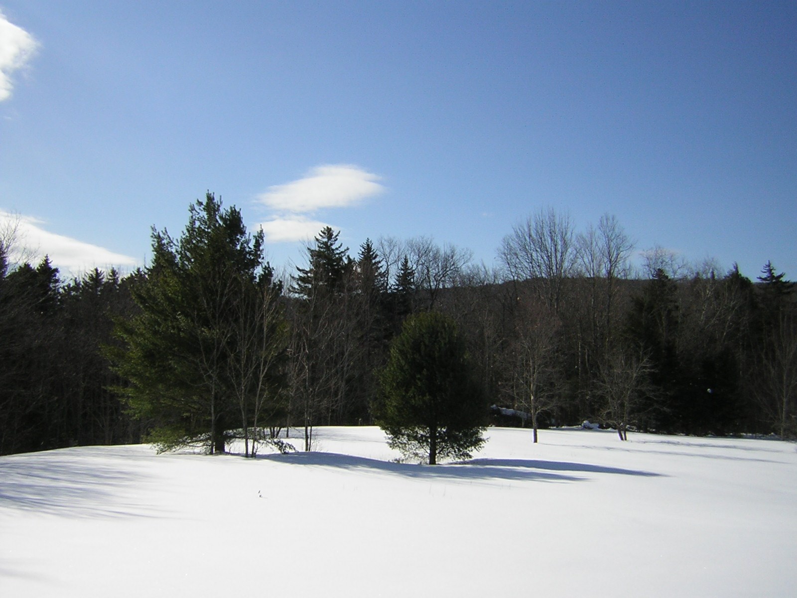 0 Sterling Valley Road Morristown, VT 05661 - Photo 14 of 40 Gallery Image 14