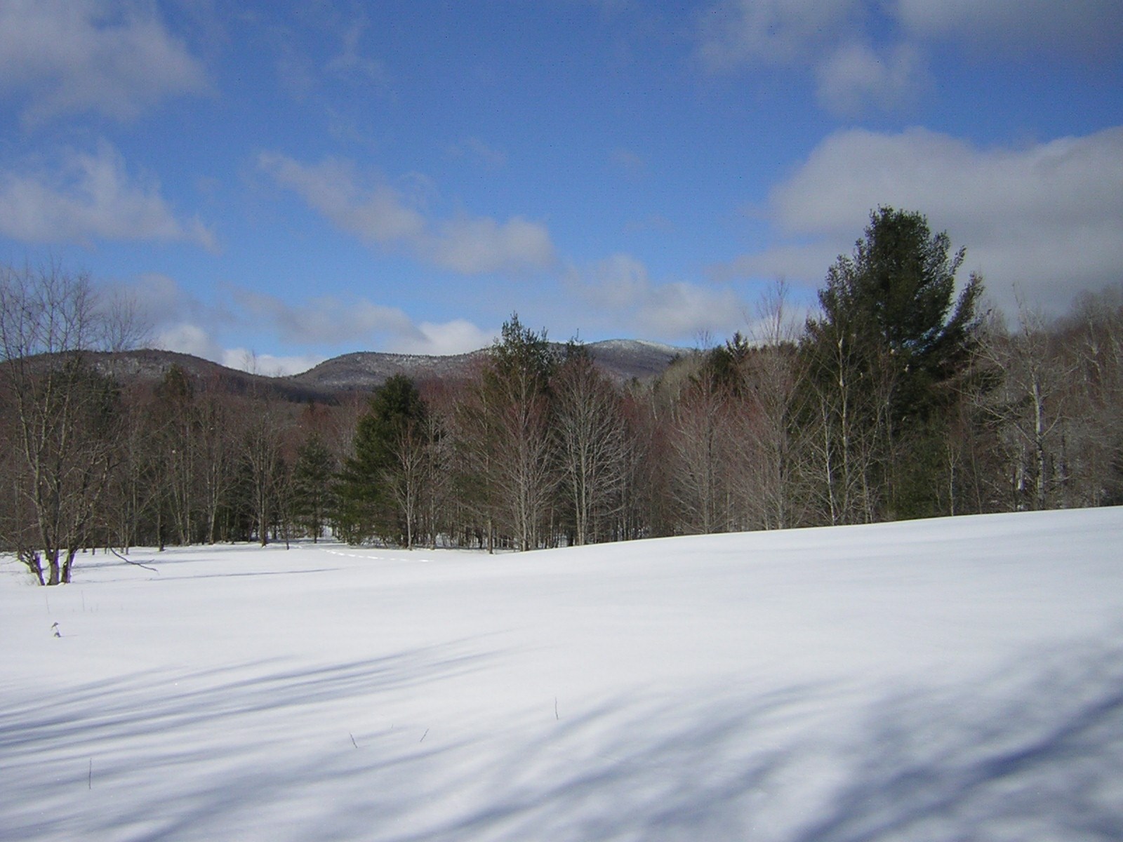 0 Sterling Valley Road Morristown, VT 05661 - Photo 17 of 40 Gallery Image 17