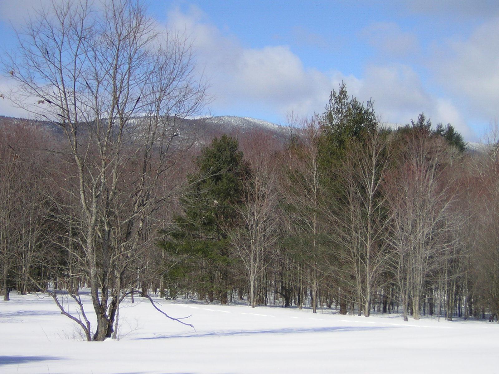 0 Sterling Valley Road Morristown, VT 05661 - Photo 18 of 40 Gallery Image 18