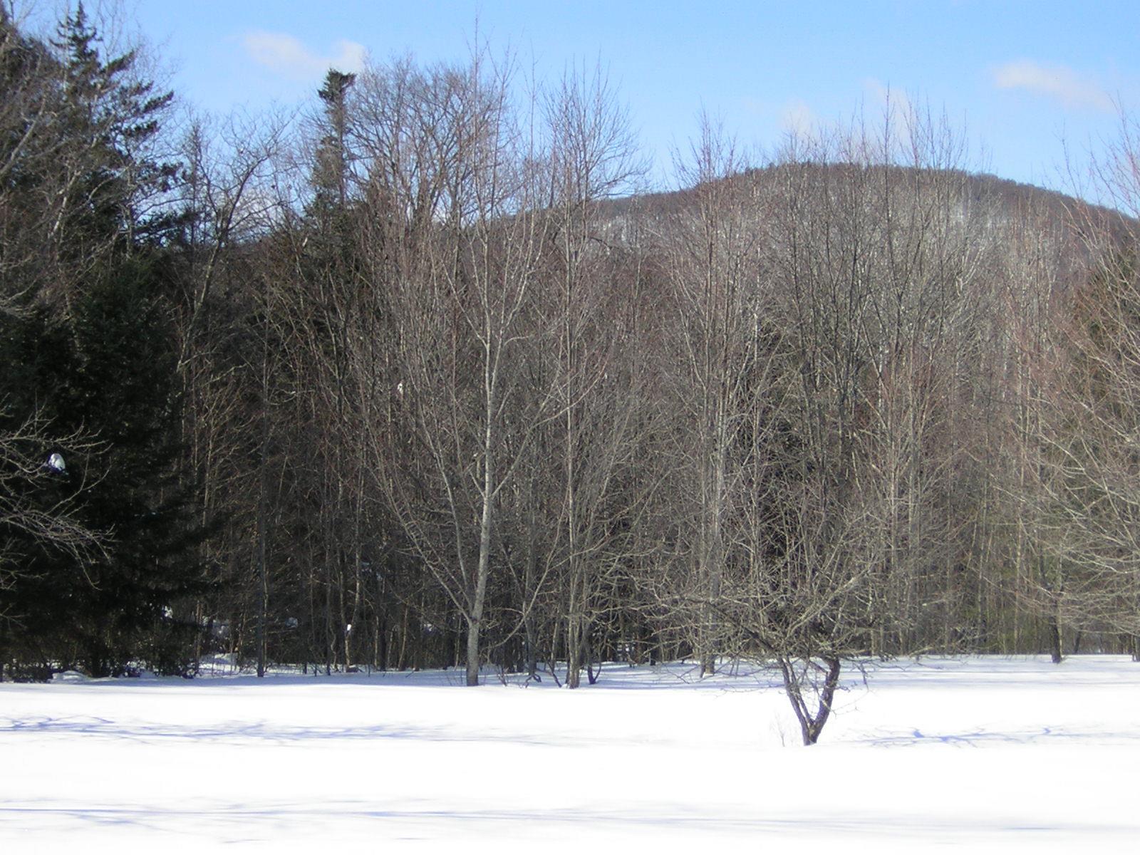 0 Sterling Valley Road Morristown, VT 05661 - Photo 20 of 40 Gallery Image 20