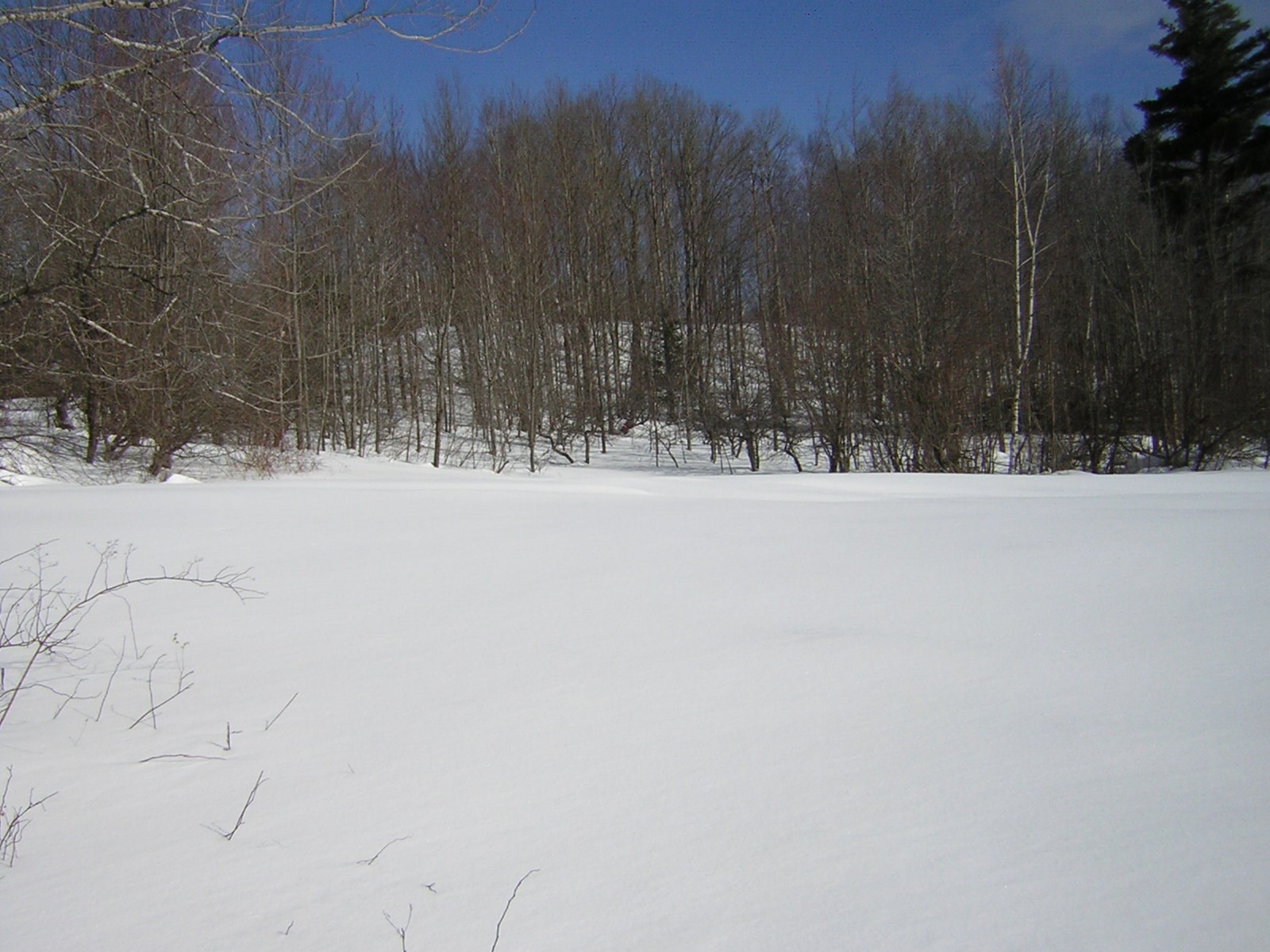 0 Sterling Valley Road Morristown, VT 05661 - Photo 3 of 40 Gallery Image 3