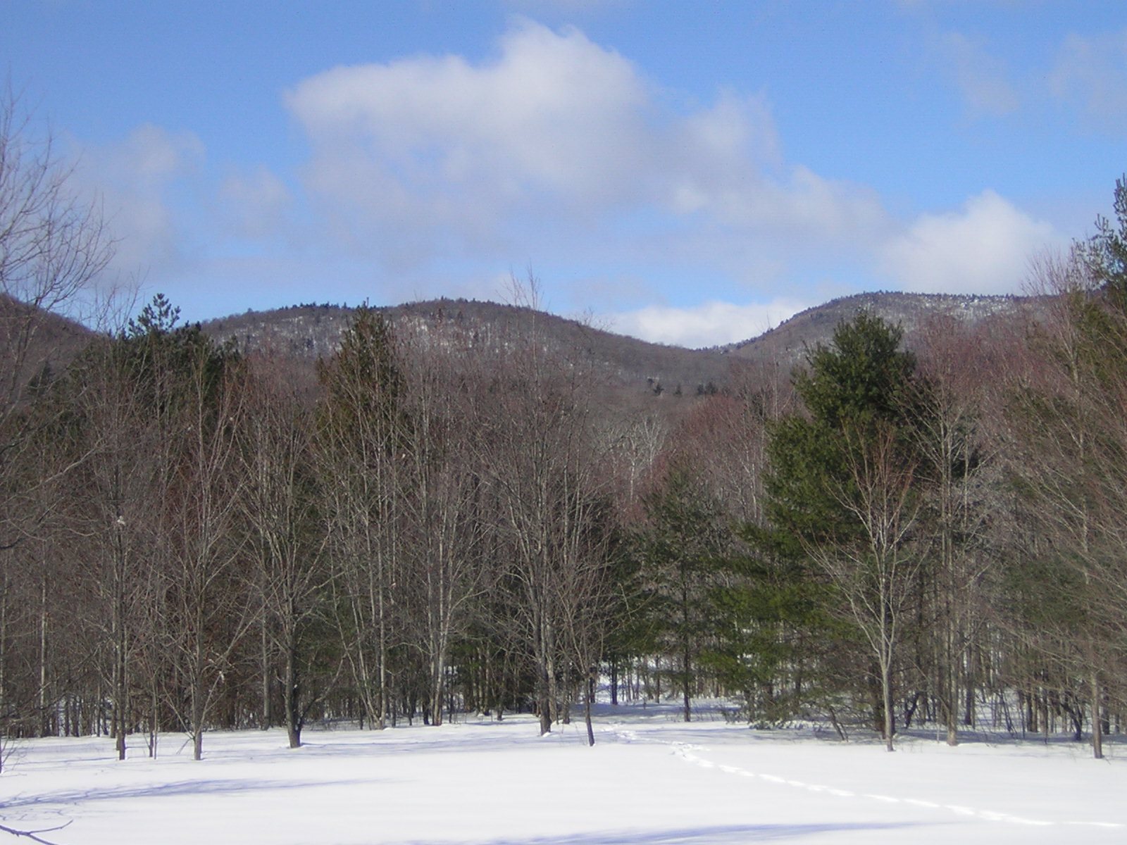 0 Sterling Valley Road Morristown, VT 05661 - Photo 22 of 40 Gallery Image 22
