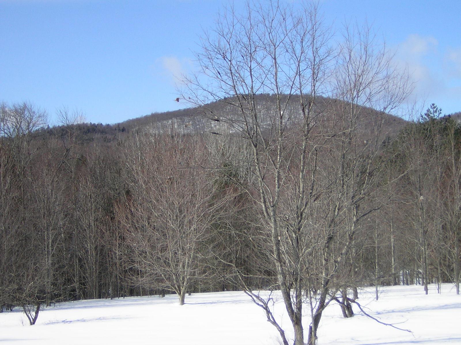 0 Sterling Valley Road Morristown, VT 05661 - Photo 23 of 40 Gallery Image 23