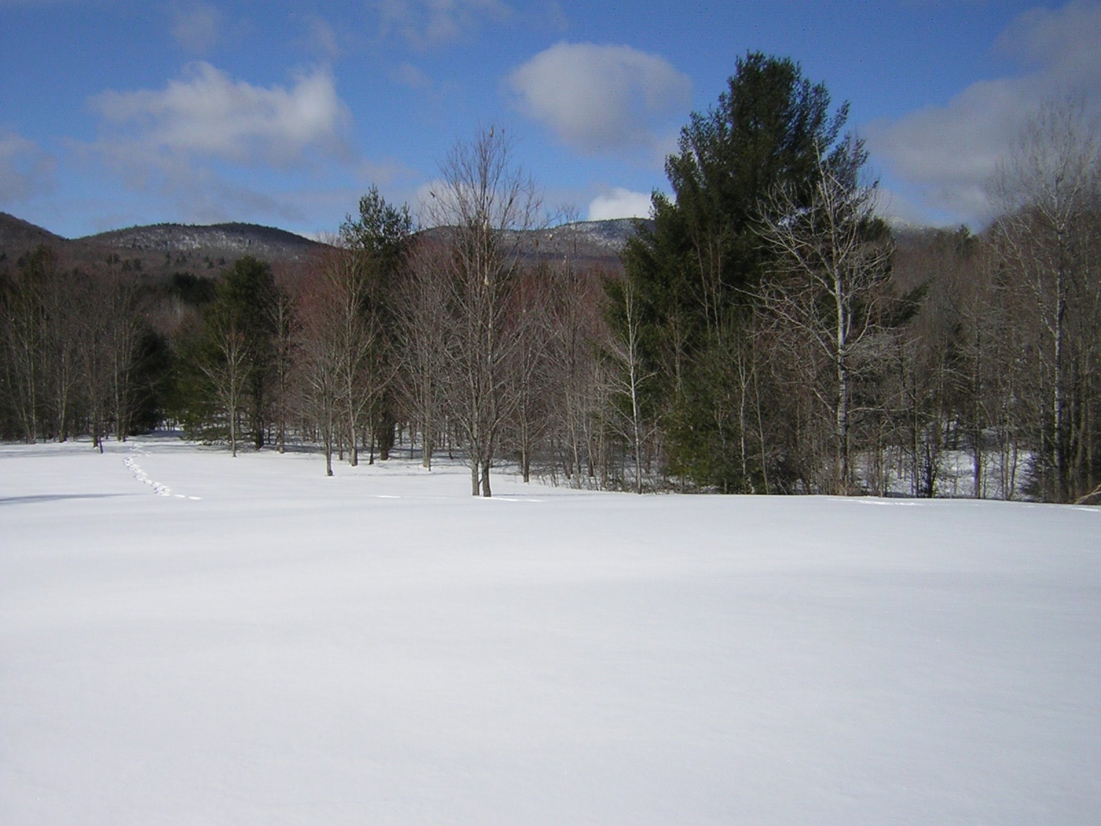 0 Sterling Valley Road Morristown, VT 05661 - Photo 24 of 40 Gallery Image 24