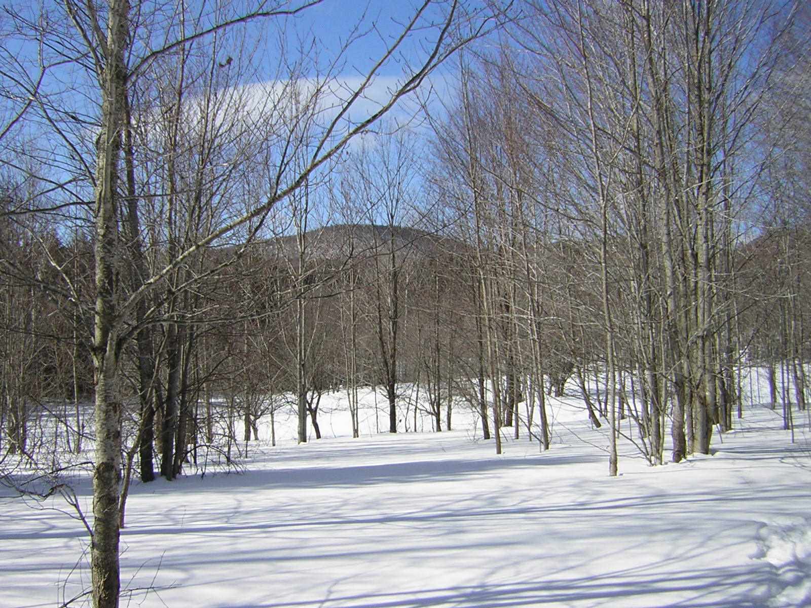 0 Sterling Valley Road Morristown, VT 05661 - Photo 25 of 40 Gallery Image 25