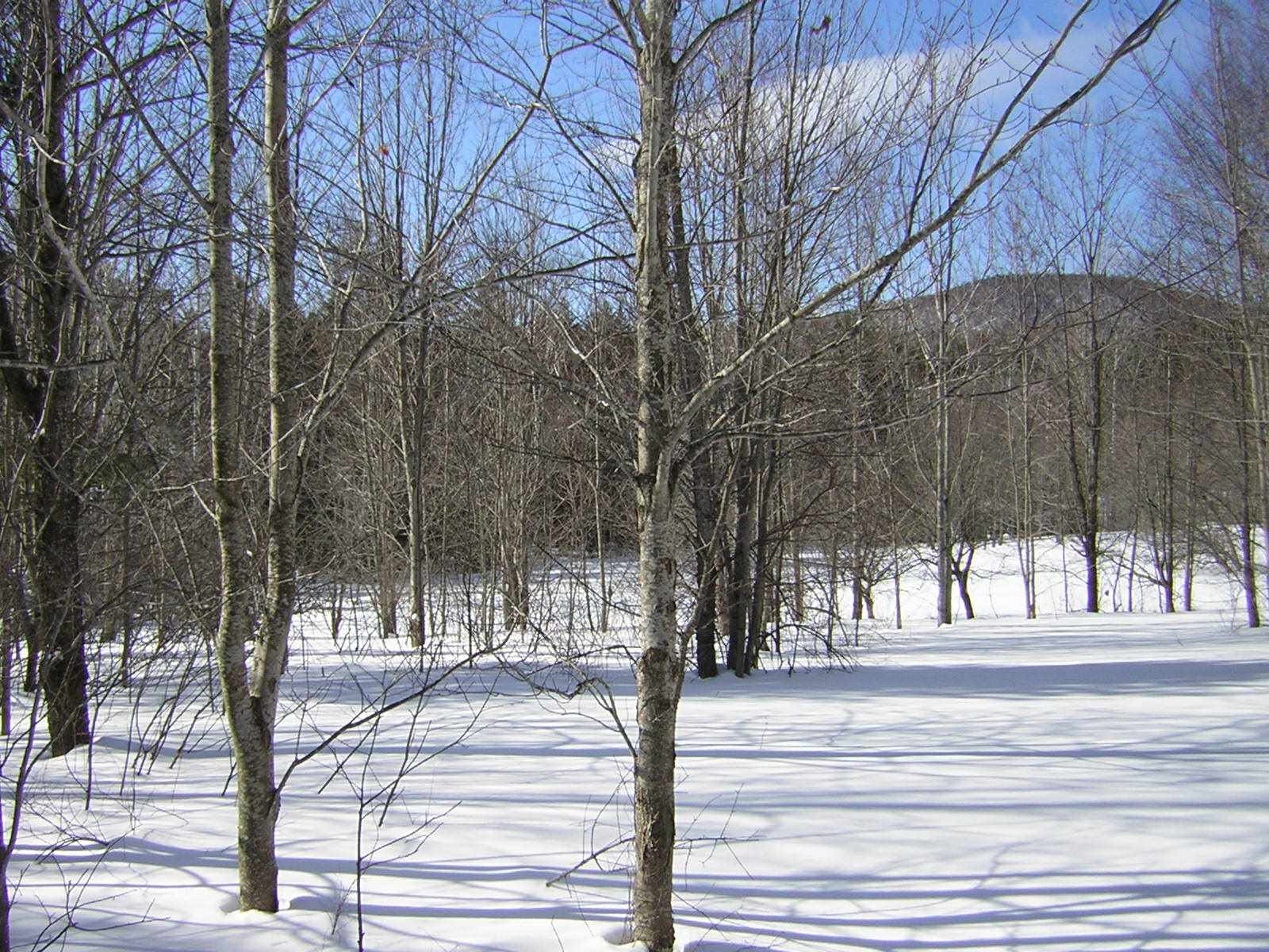 0 Sterling Valley Road Morristown, VT 05661 - Photo 26 of 40 Gallery Image 26